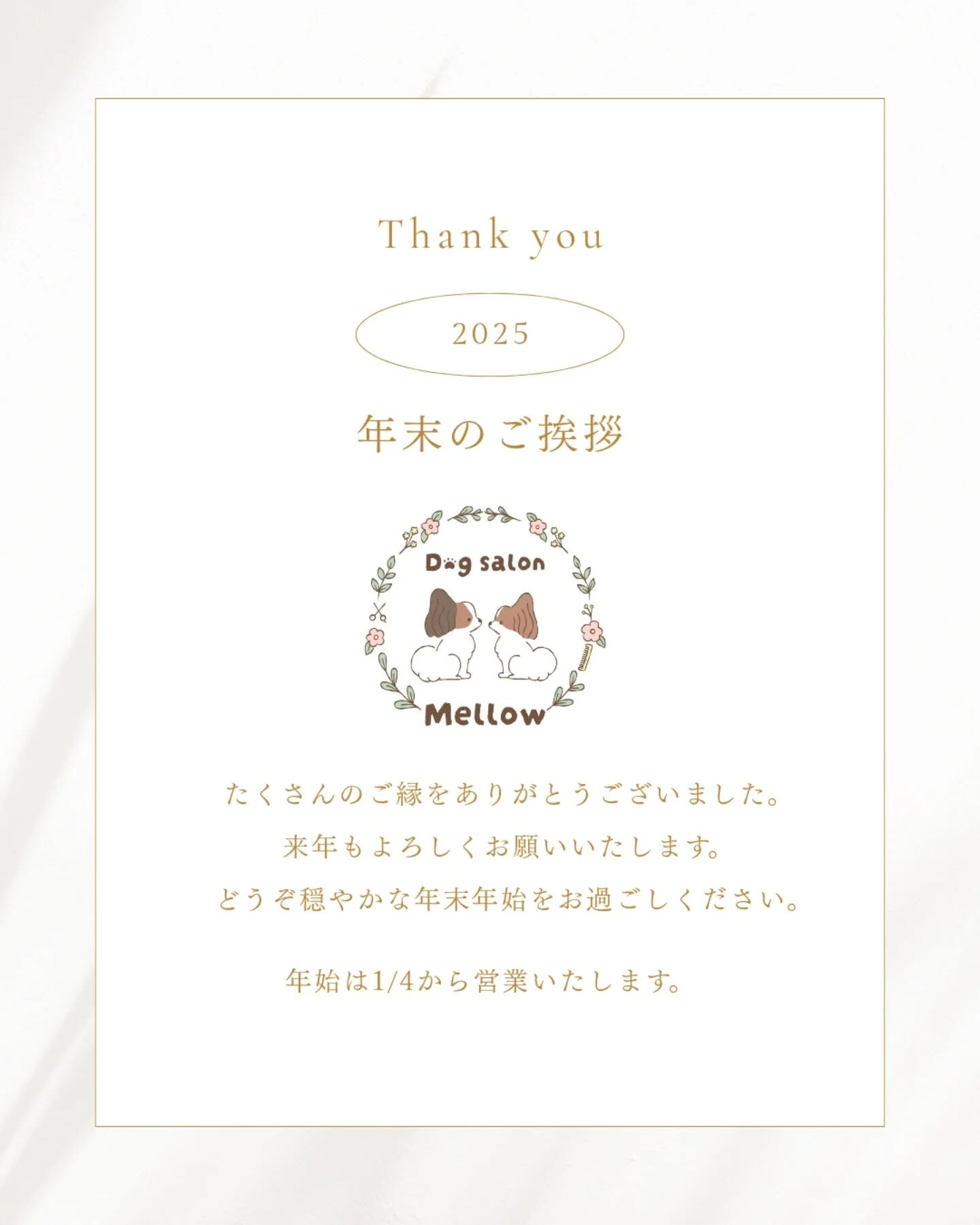 Dogsalon Mellowトリマーの おおしま です☺︎