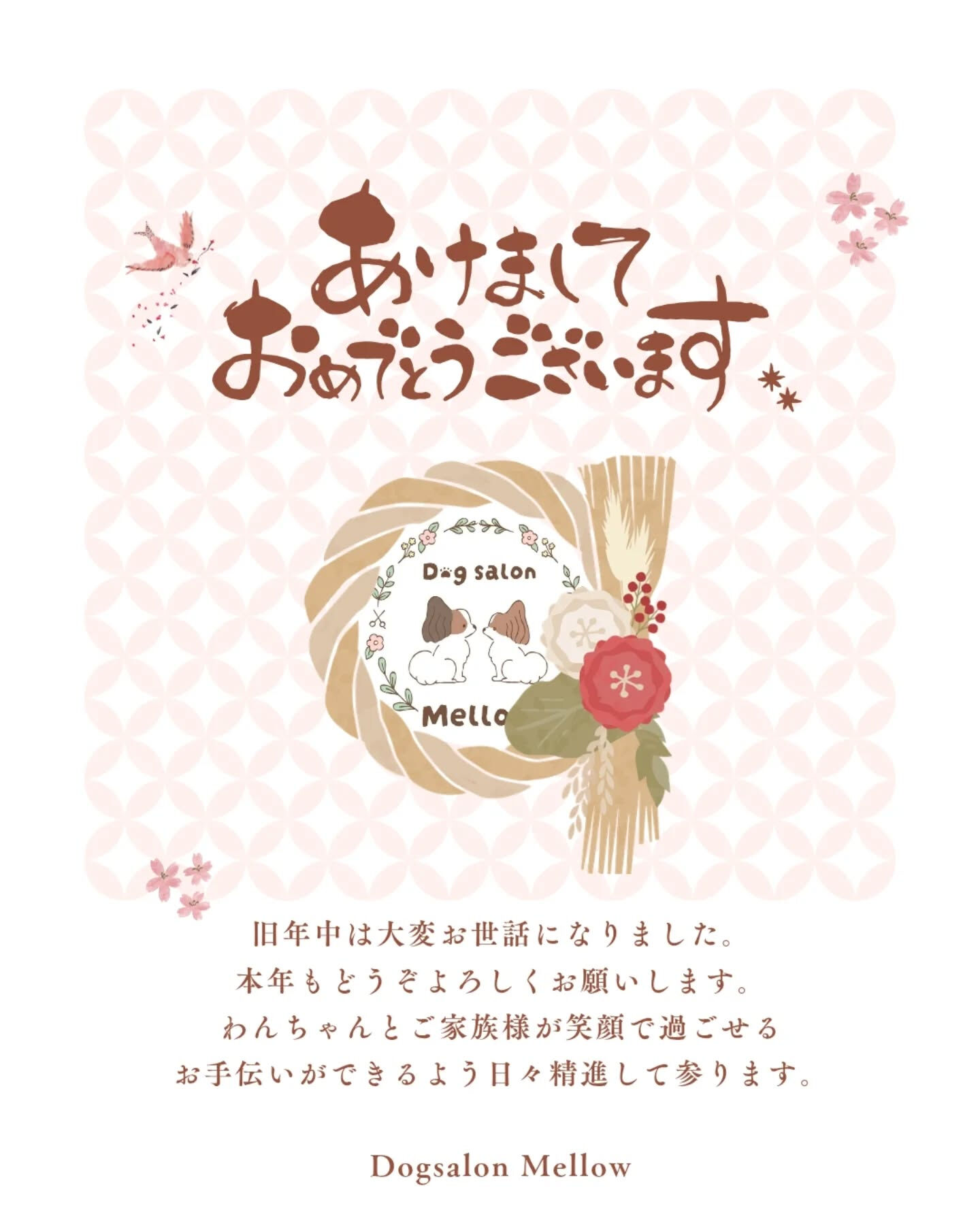 Dogsalon Mellowトリマーの おおしま です☺︎
