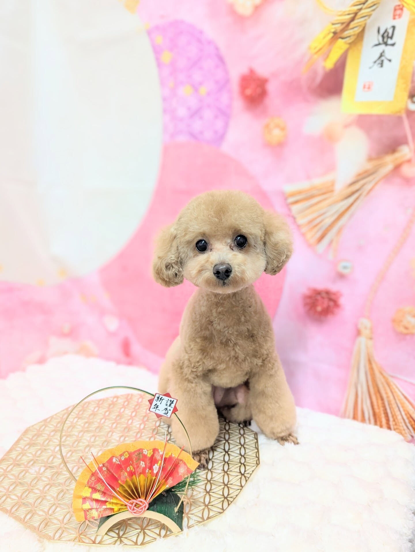 - ̗̀ ご来店ありがとうございます ̖́-