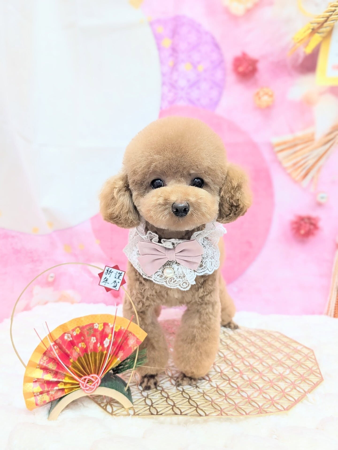 - ̗̀ ご来店ありがとうございます ̖́-