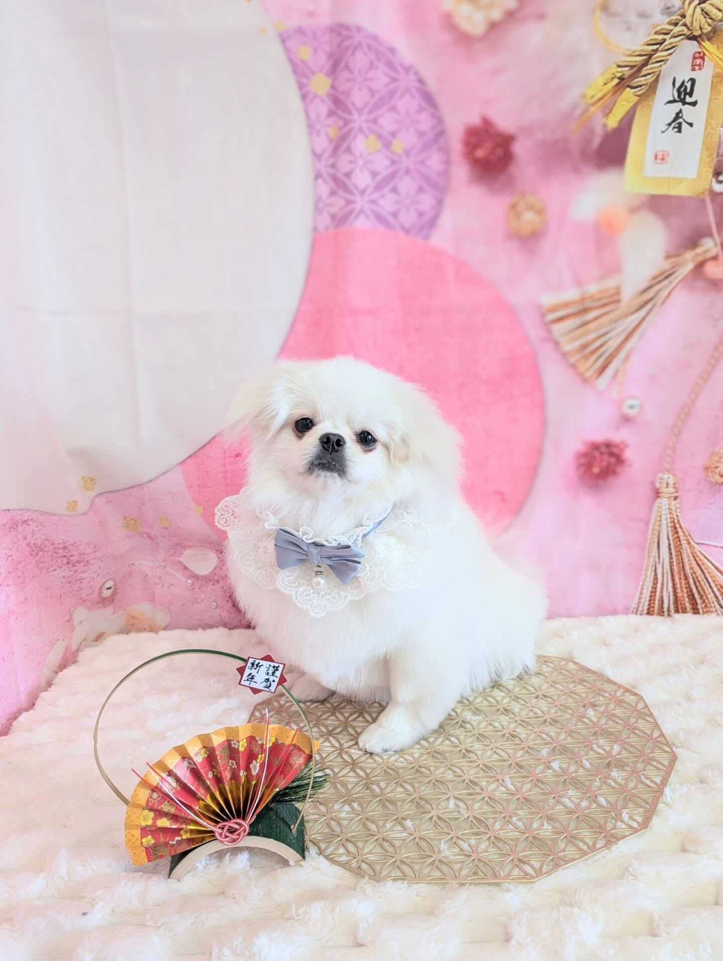 - ̗̀ ご来店ありがとうございます ̖́-