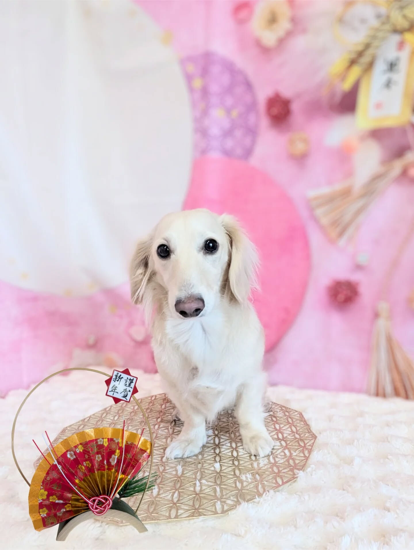 - ̗̀ ご来店ありがとうございます ̖́-