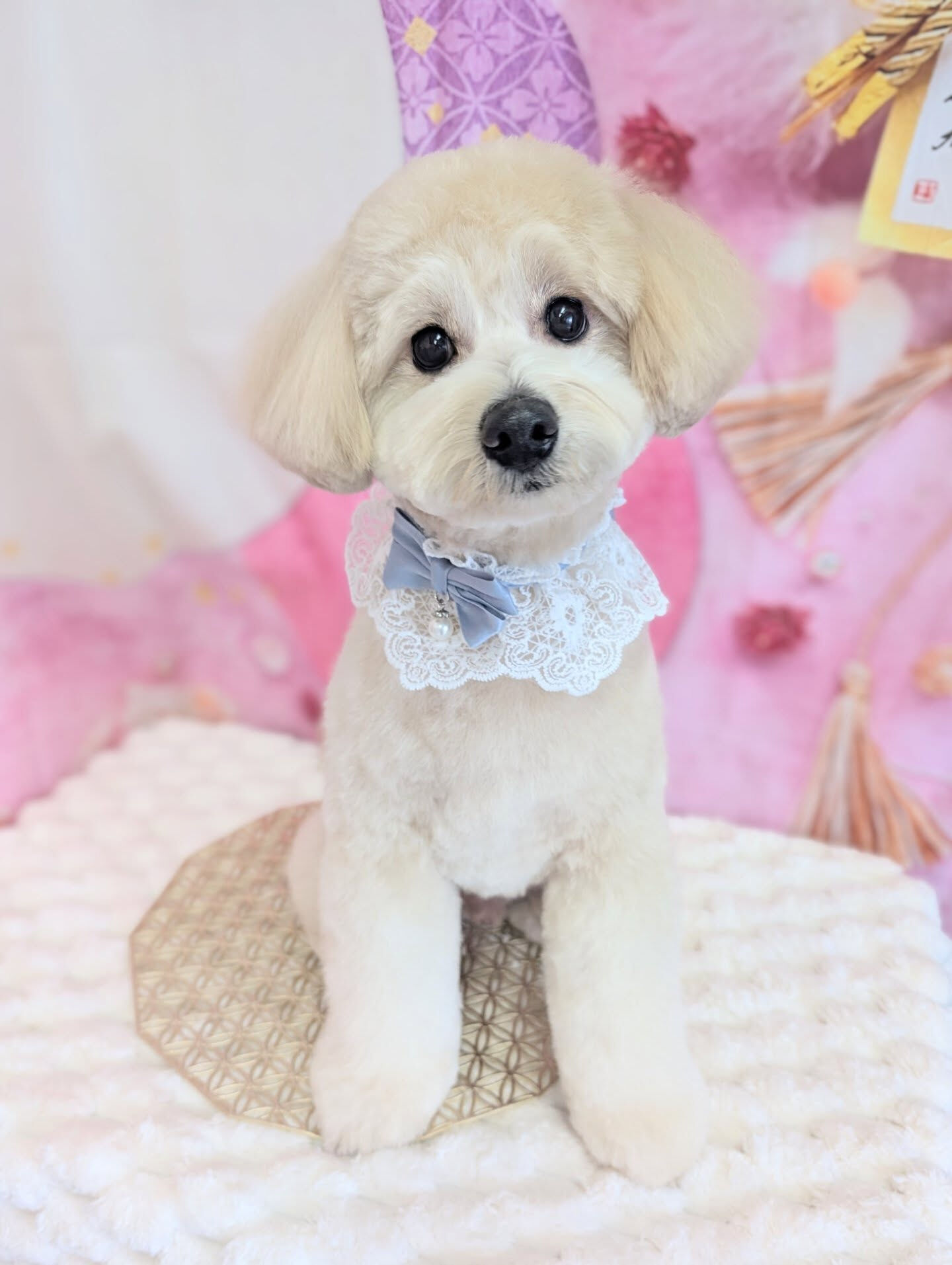 - ̗̀ ご来店ありがとうございます ̖́-
