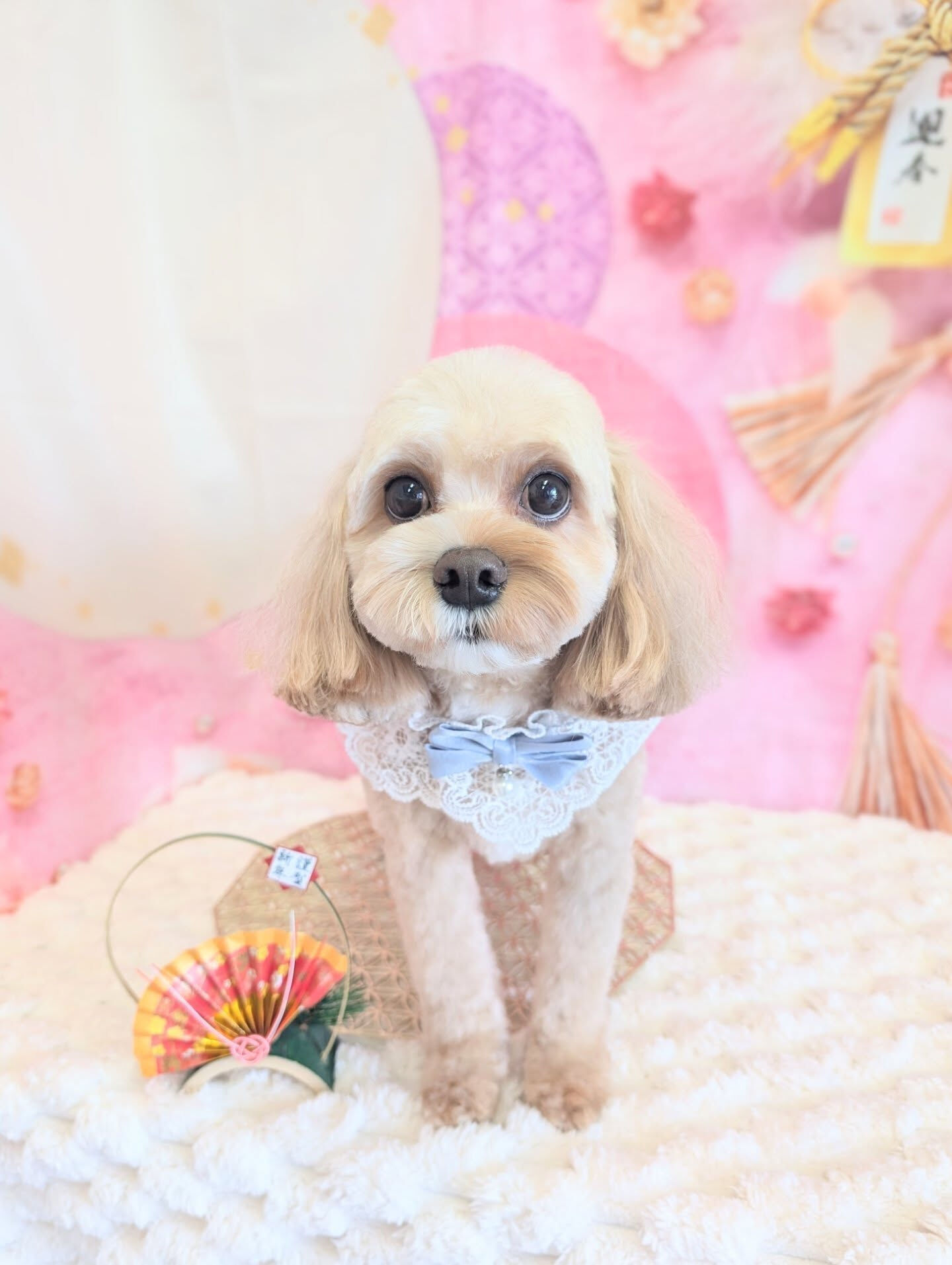 - ̗̀ ご来店ありがとうございます ̖́-