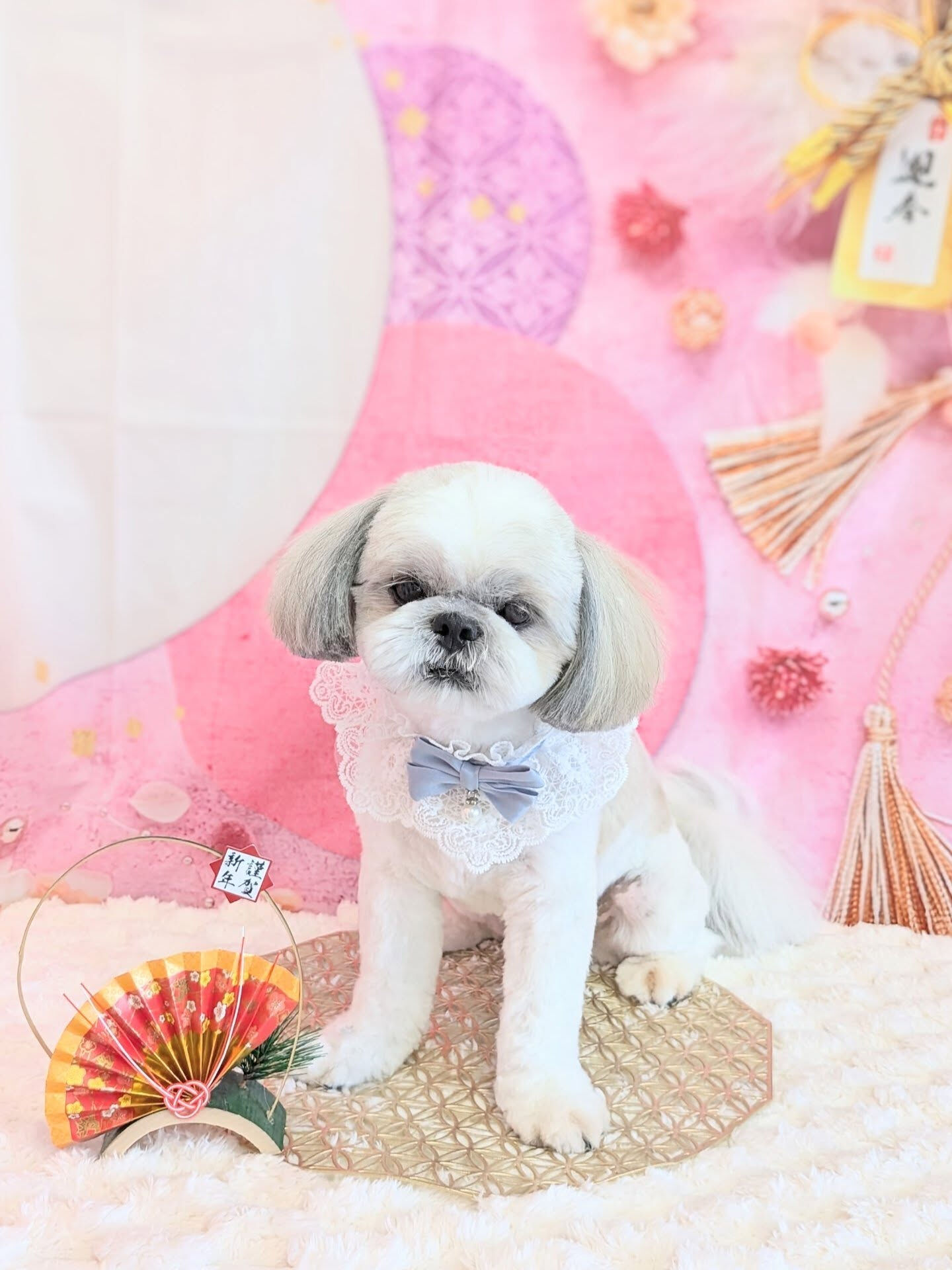 - ̗̀ ご来店ありがとうございます ̖́-