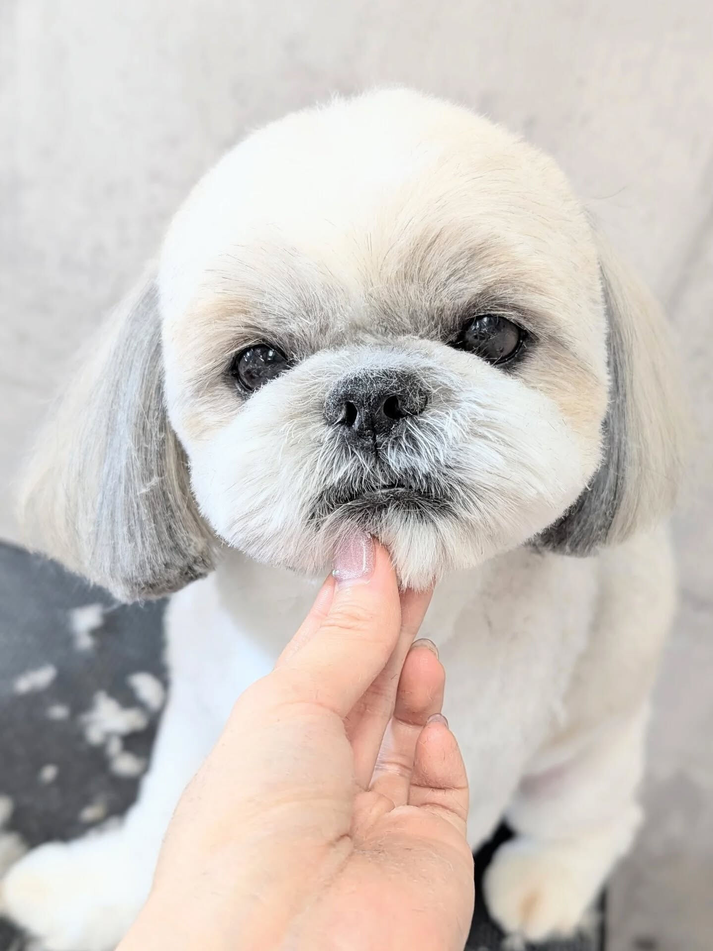 - ̗̀ ご来店ありがとうございます ̖́-