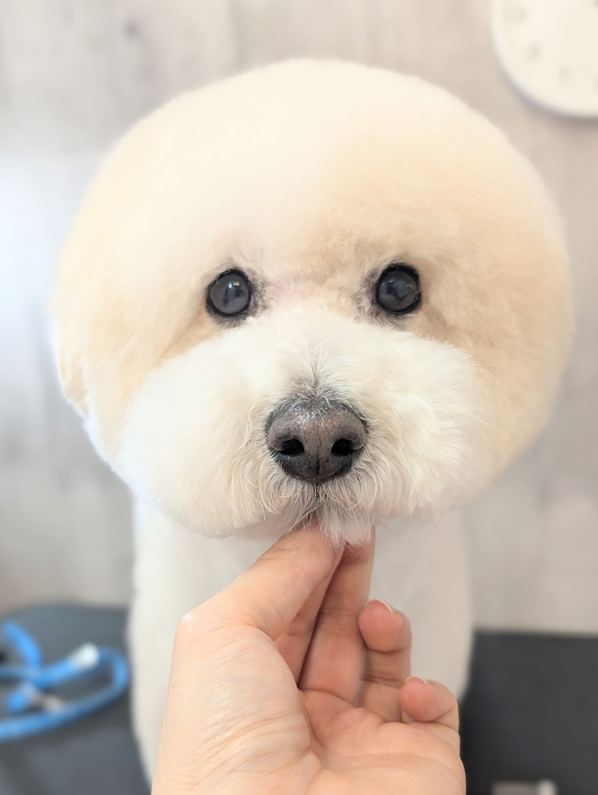 - ̗̀ ご来店ありがとうございます ̖́-