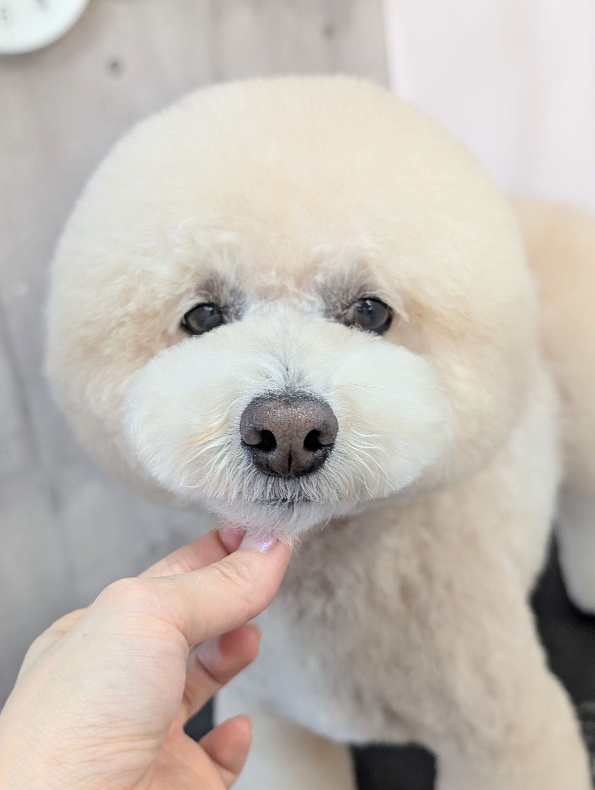 - ̗̀ ご来店ありがとうございます ̖́-