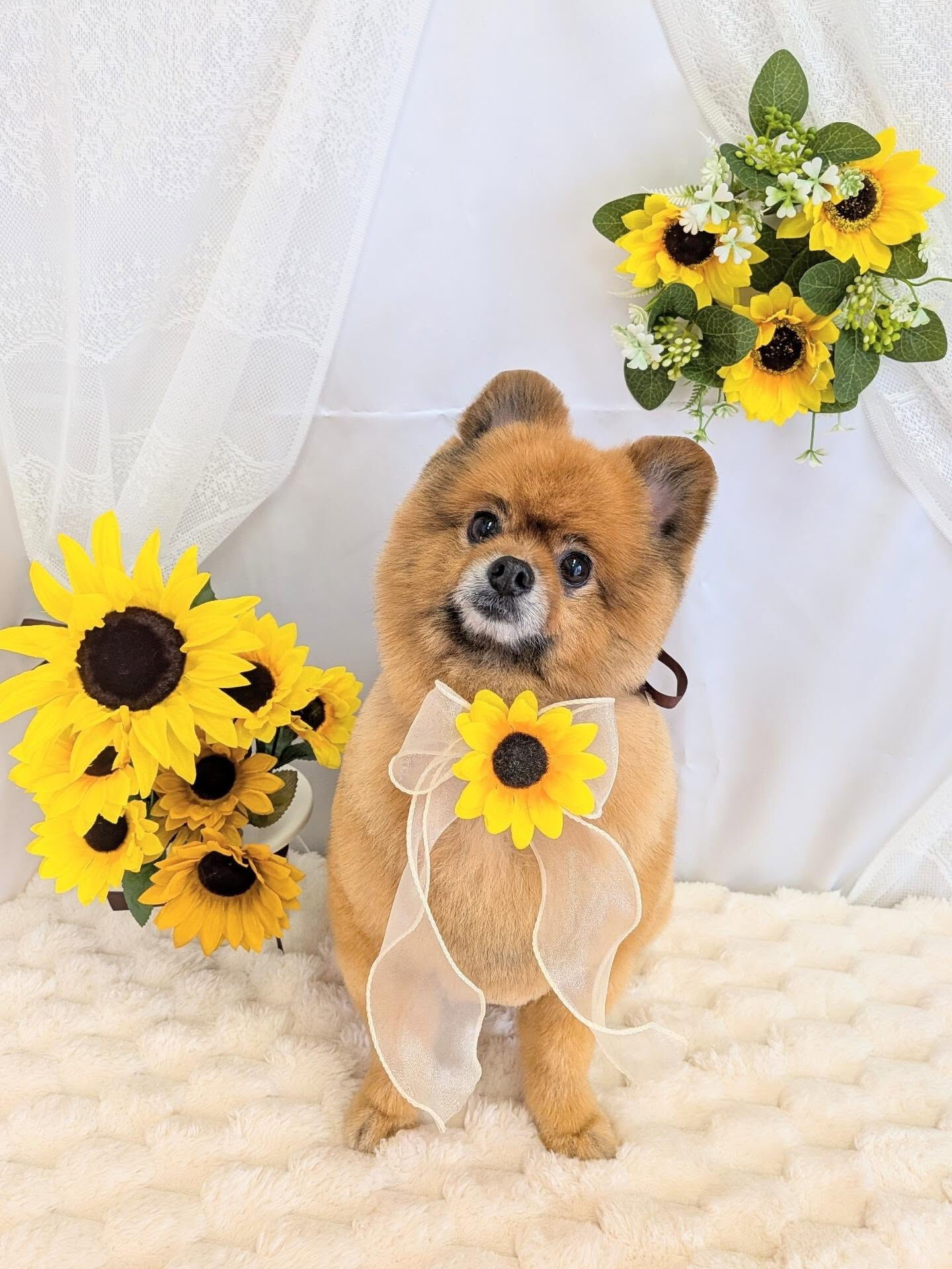 - ̗̀ ご来店ありがとうございます ̖́-