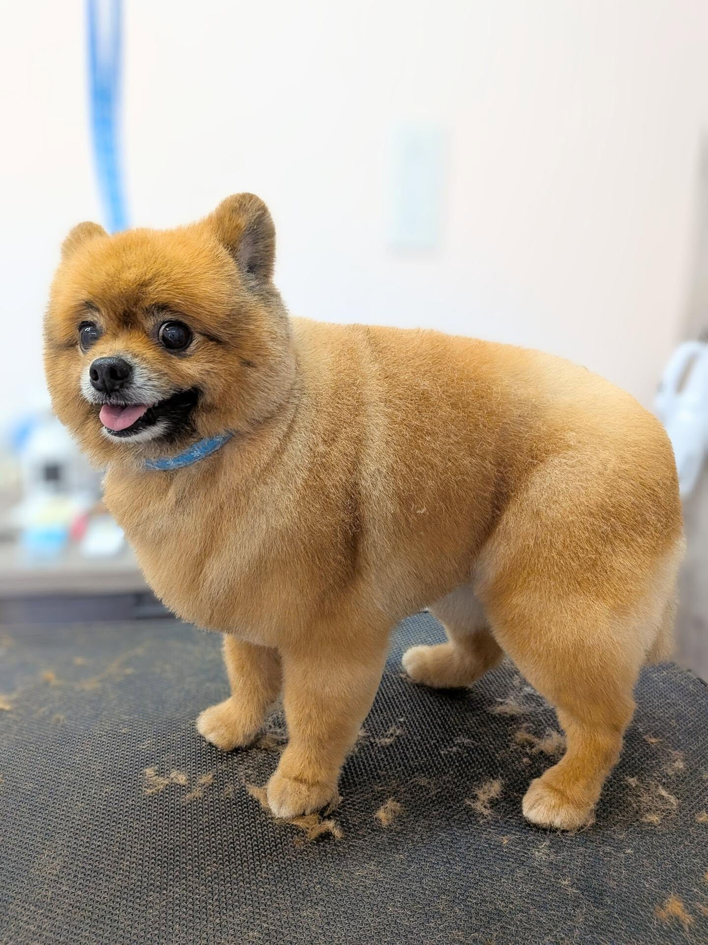 - ̗̀ ご来店ありがとうございます ̖́-