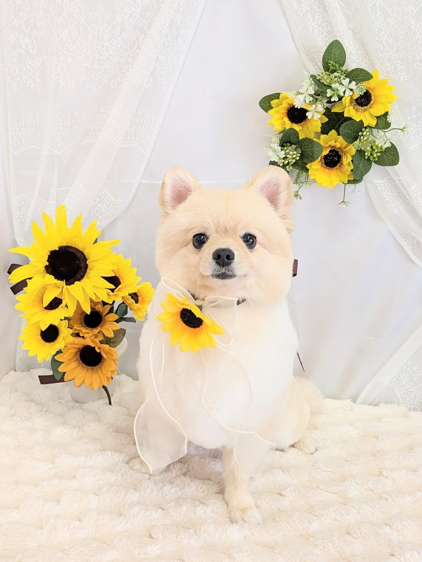 - ̗̀ ご来店ありがとうございます ̖́-