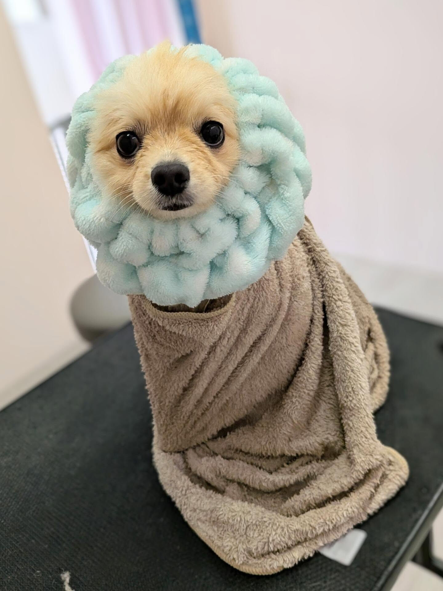 - ̗̀ ご来店ありがとうございます ̖́-