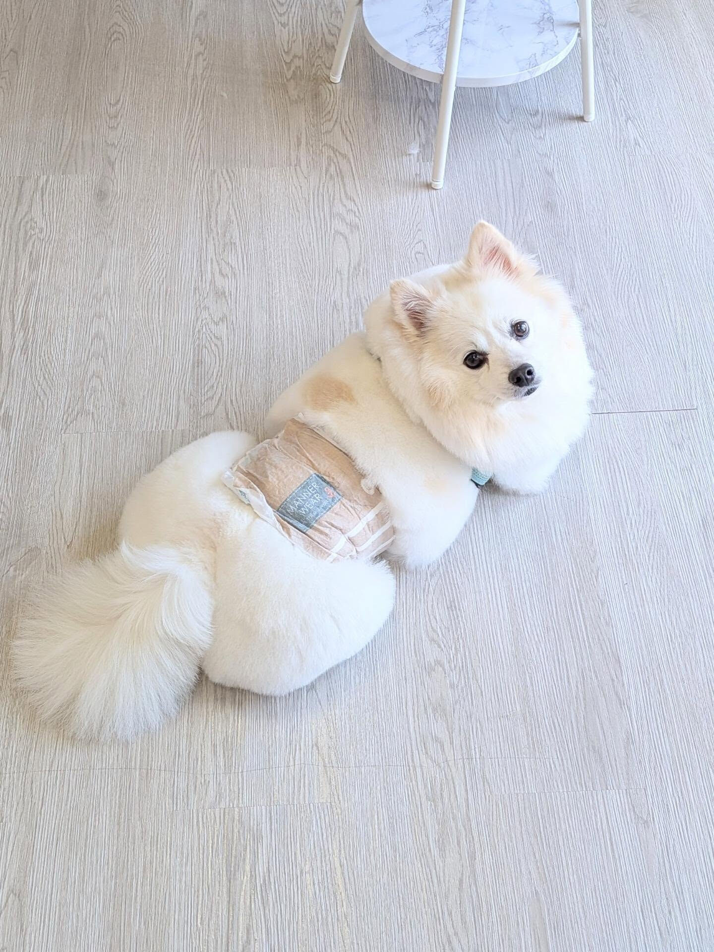 - ̗̀ ご来店ありがとうございます ̖́-