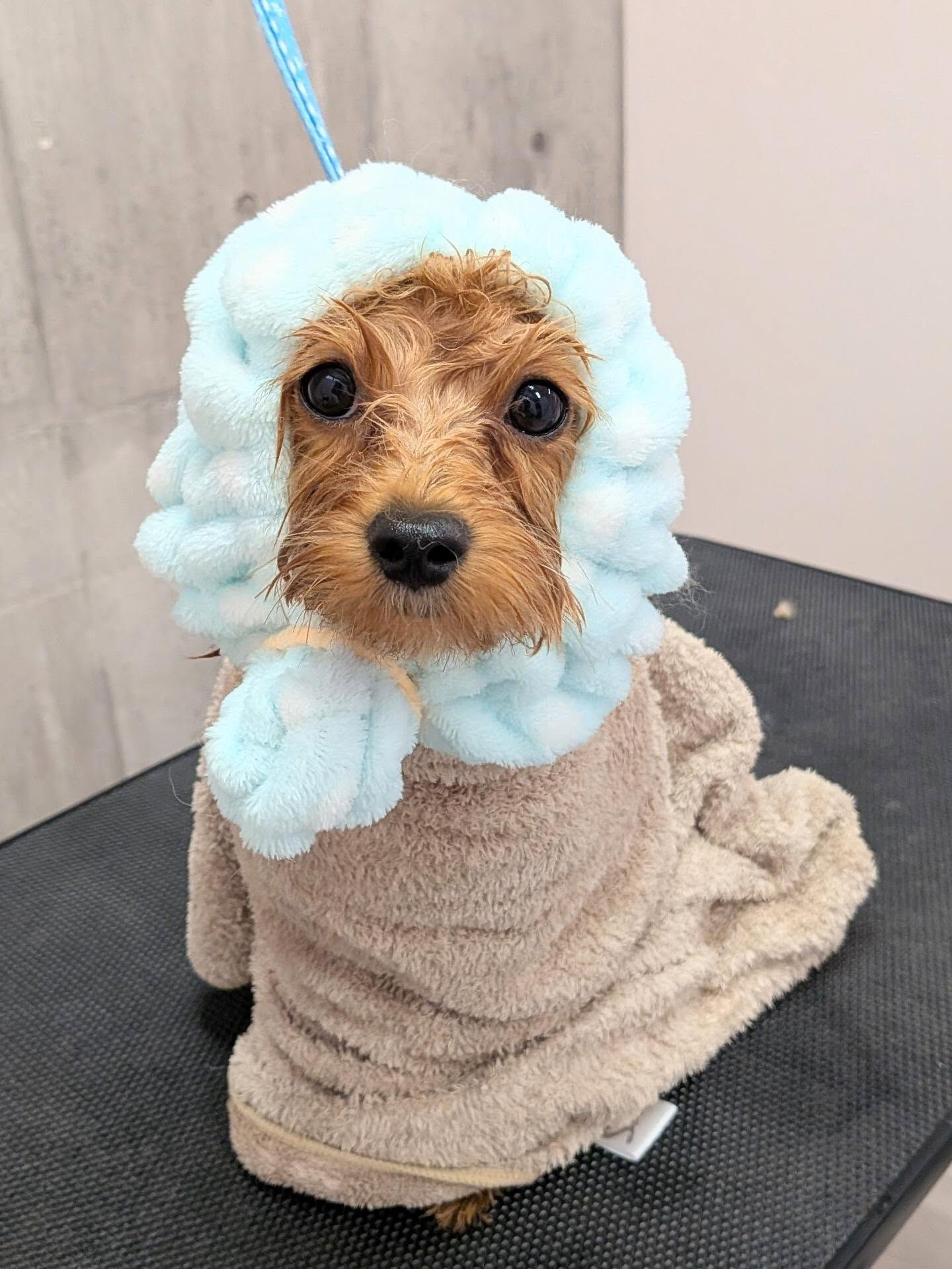 - ̗̀ ご来店ありがとうございます ̖́-