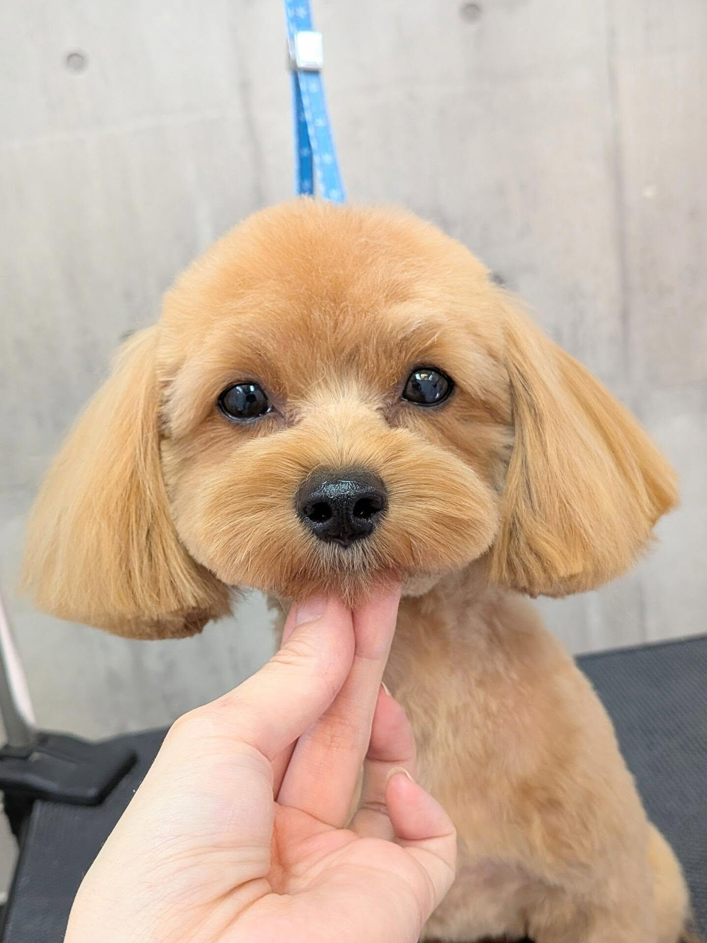 - ̗̀ ご来店ありがとうございます ̖́-