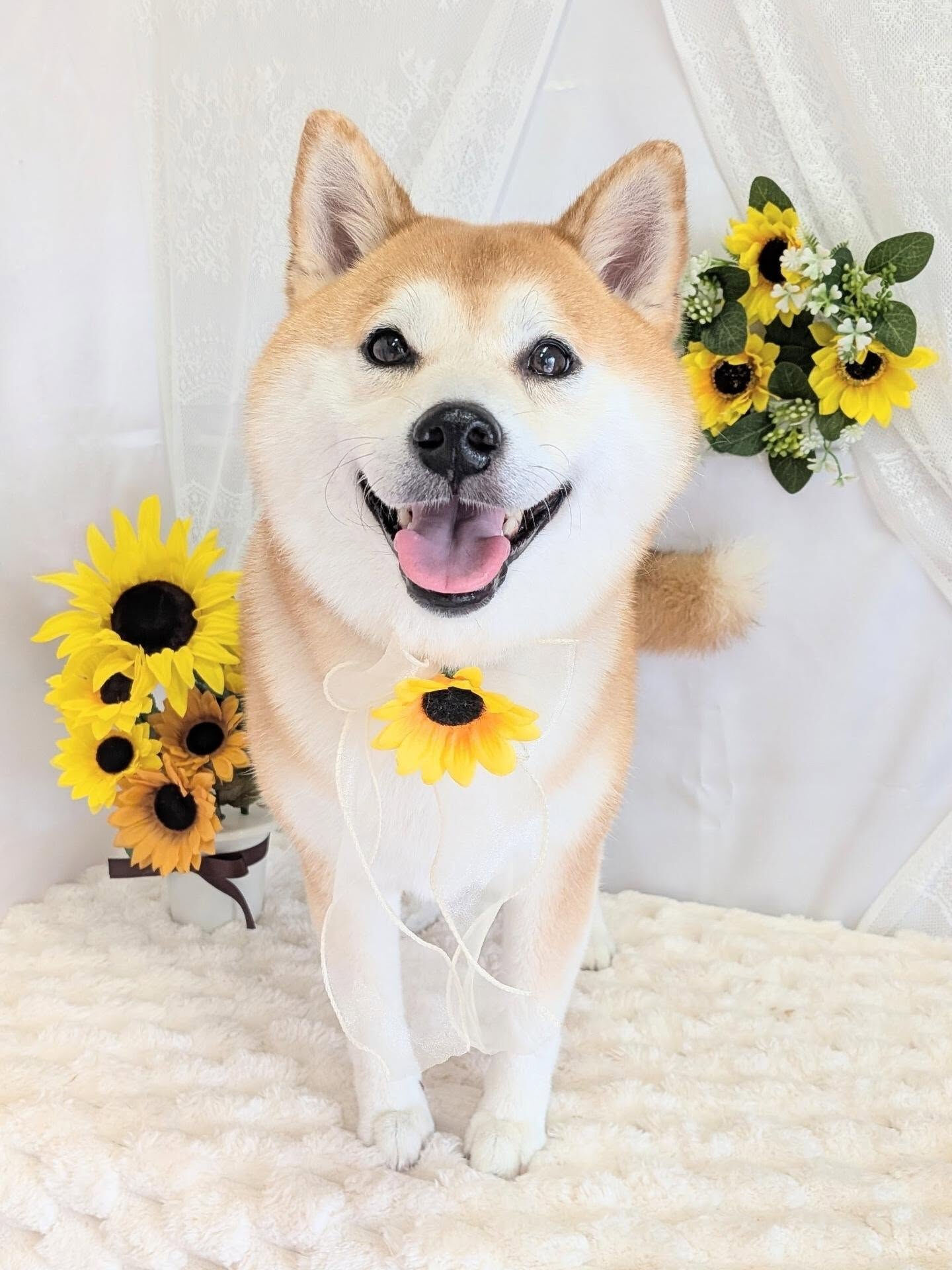 - ̗̀ ご来店ありがとうございます ̖́-