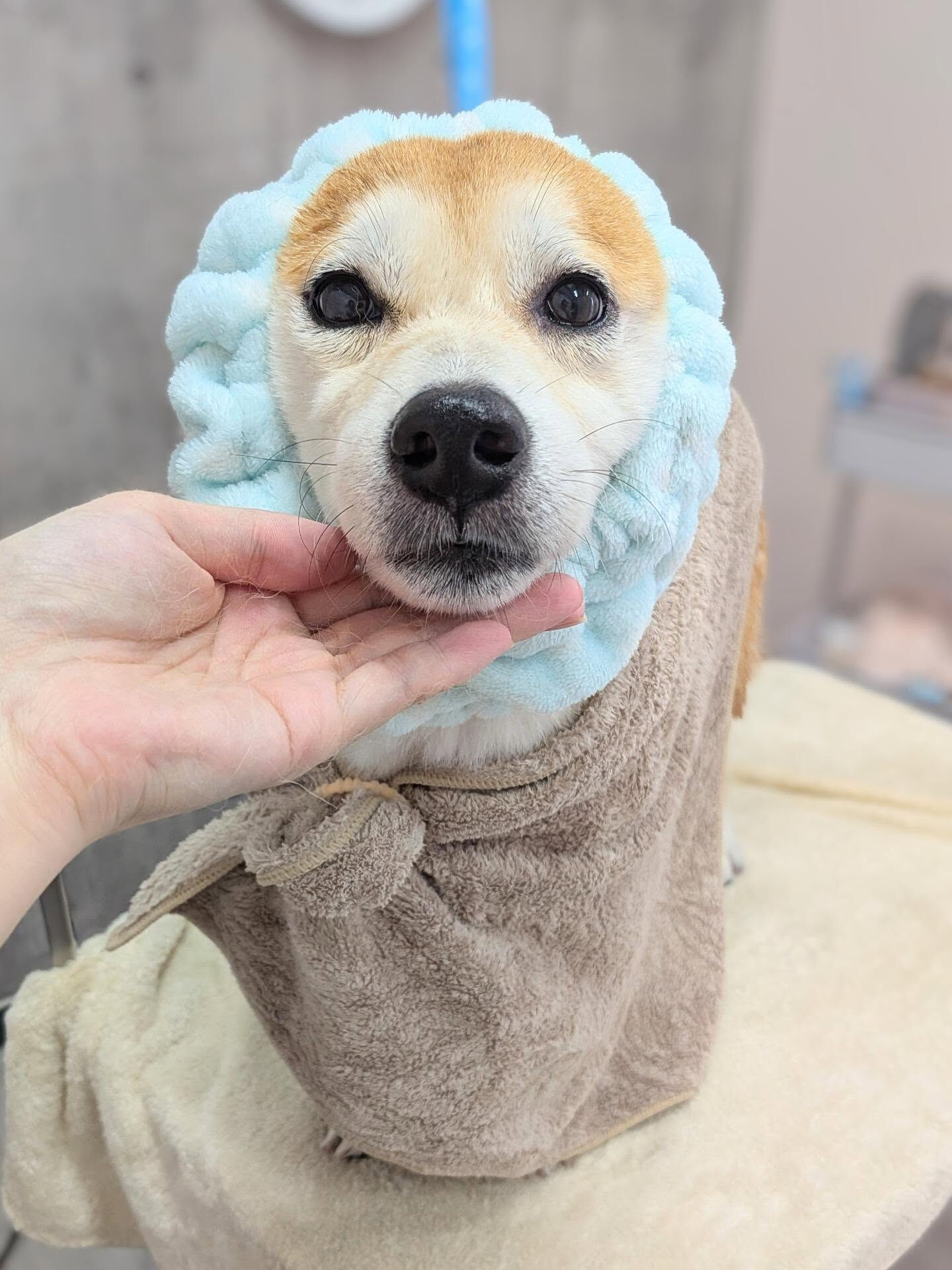 - ̗̀ ご来店ありがとうございます ̖́-
