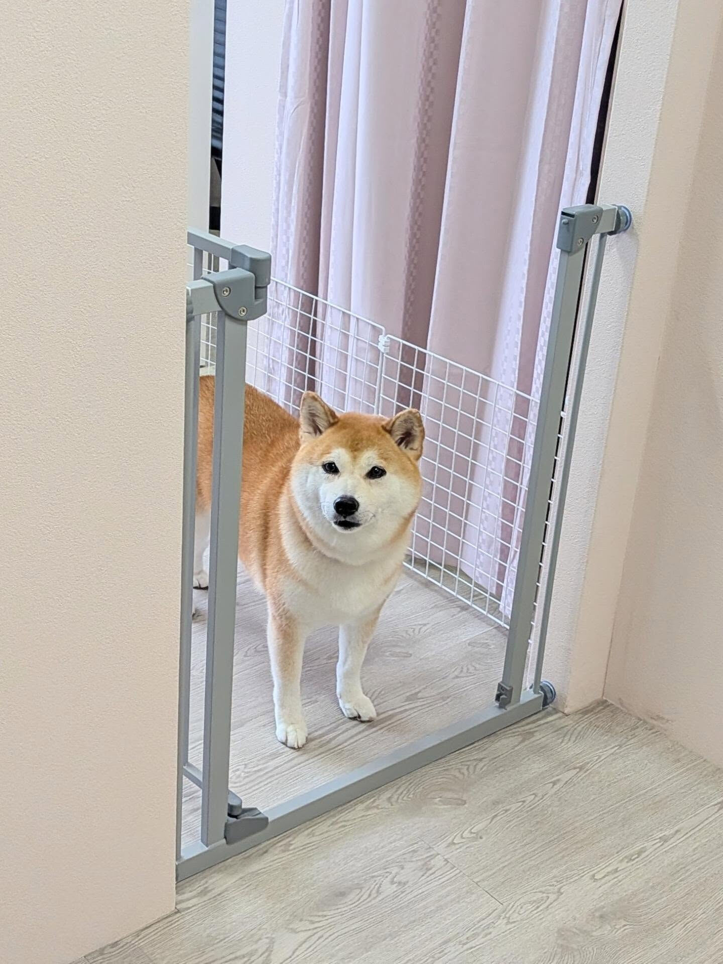 - ̗̀ ご来店ありがとうございます ̖́-