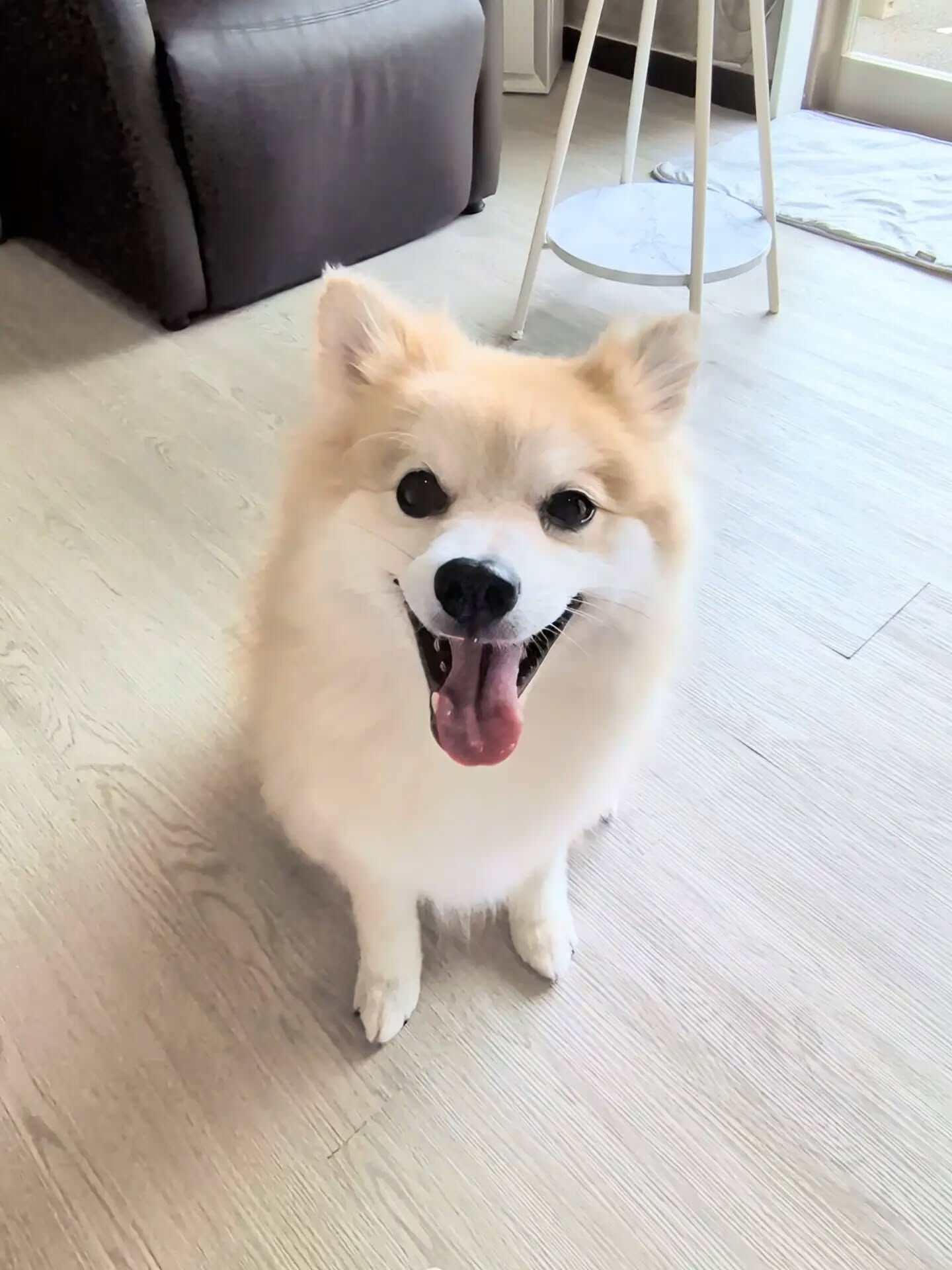 - ̗̀ ご来店ありがとうございます ̖́-