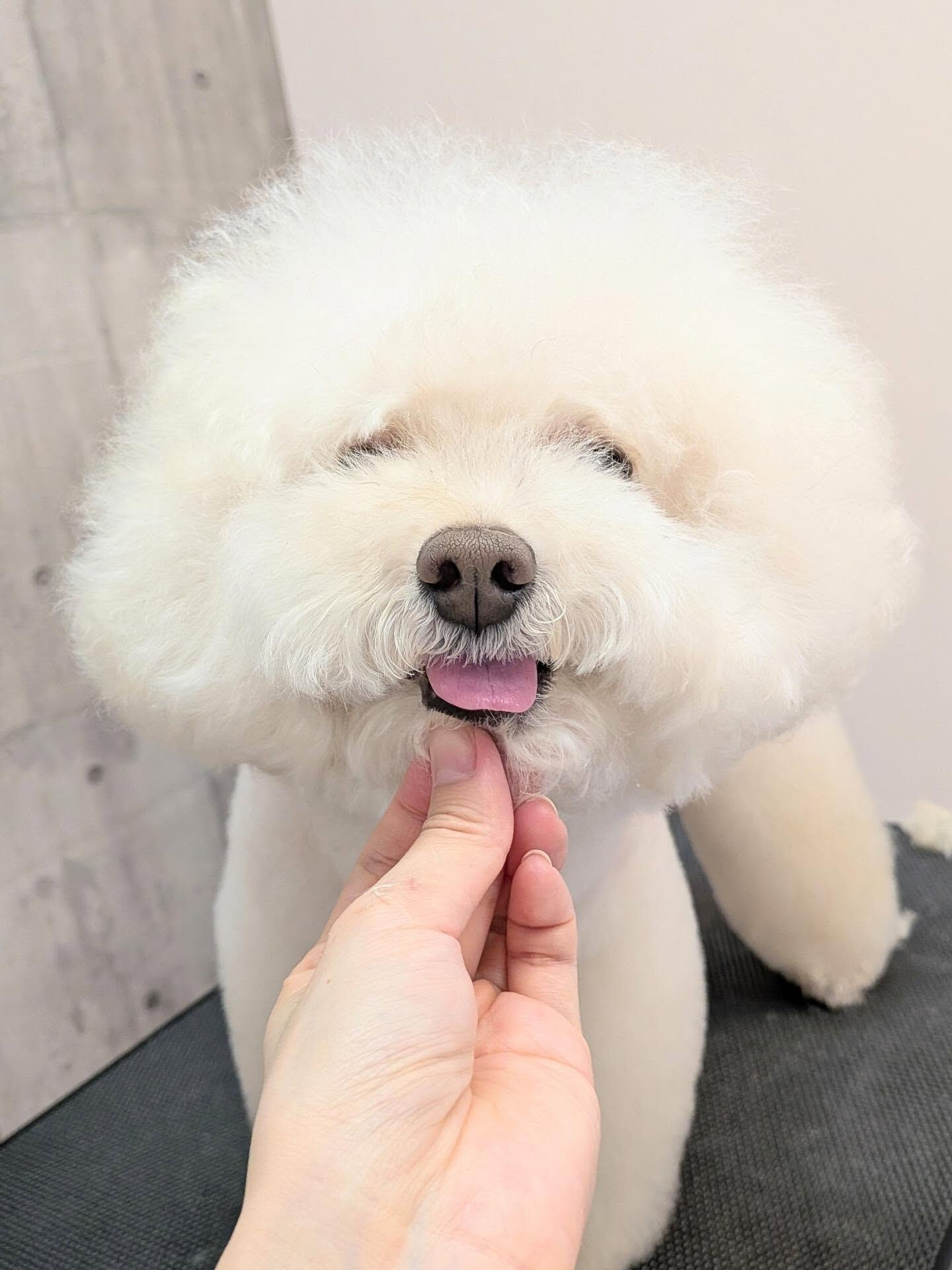 - ̗̀ ご来店ありがとうございます ̖́-