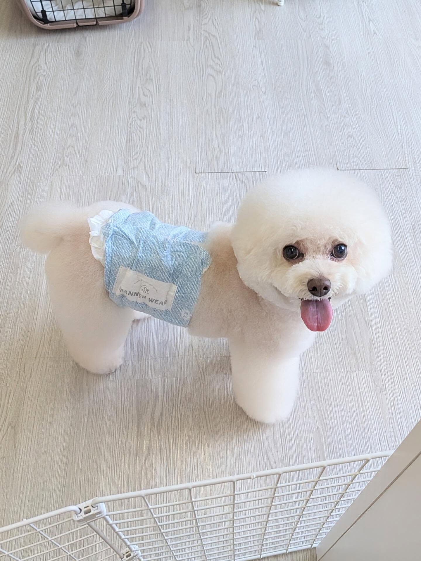 - ̗̀ ご来店ありがとうございます ̖́-
