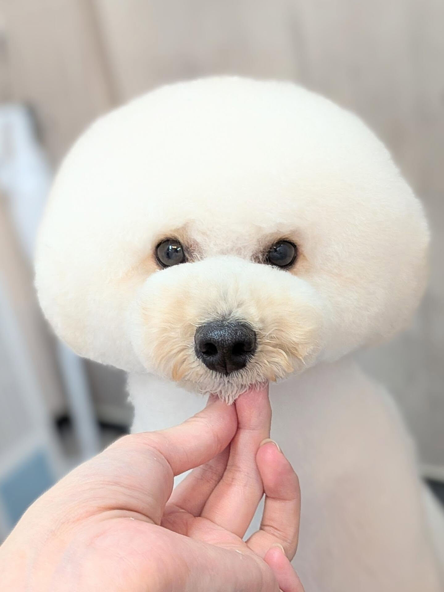 - ̗̀ ご来店ありがとうございます ̖́-