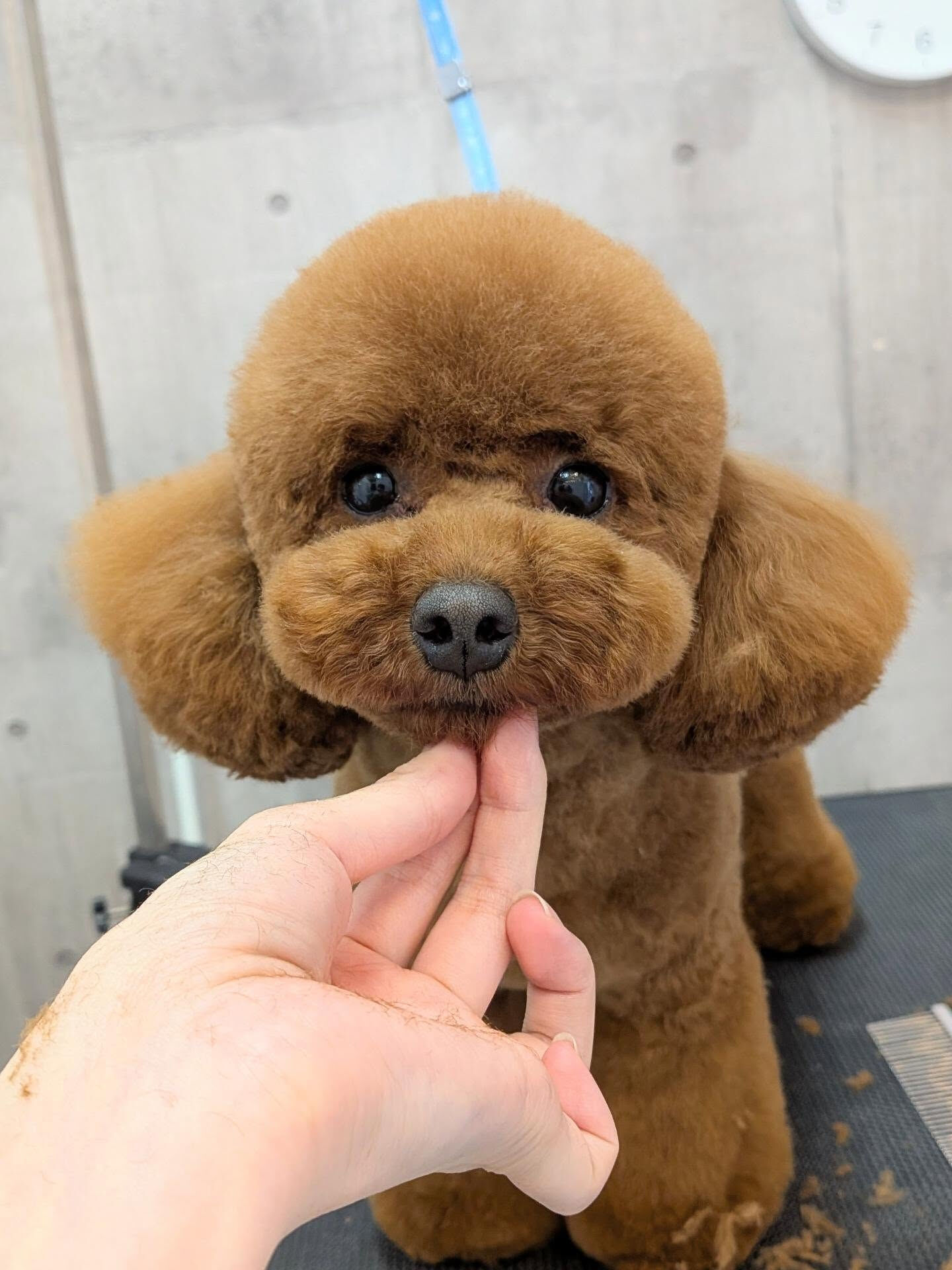 - ̗̀ ご来店ありがとうございます ̖́-