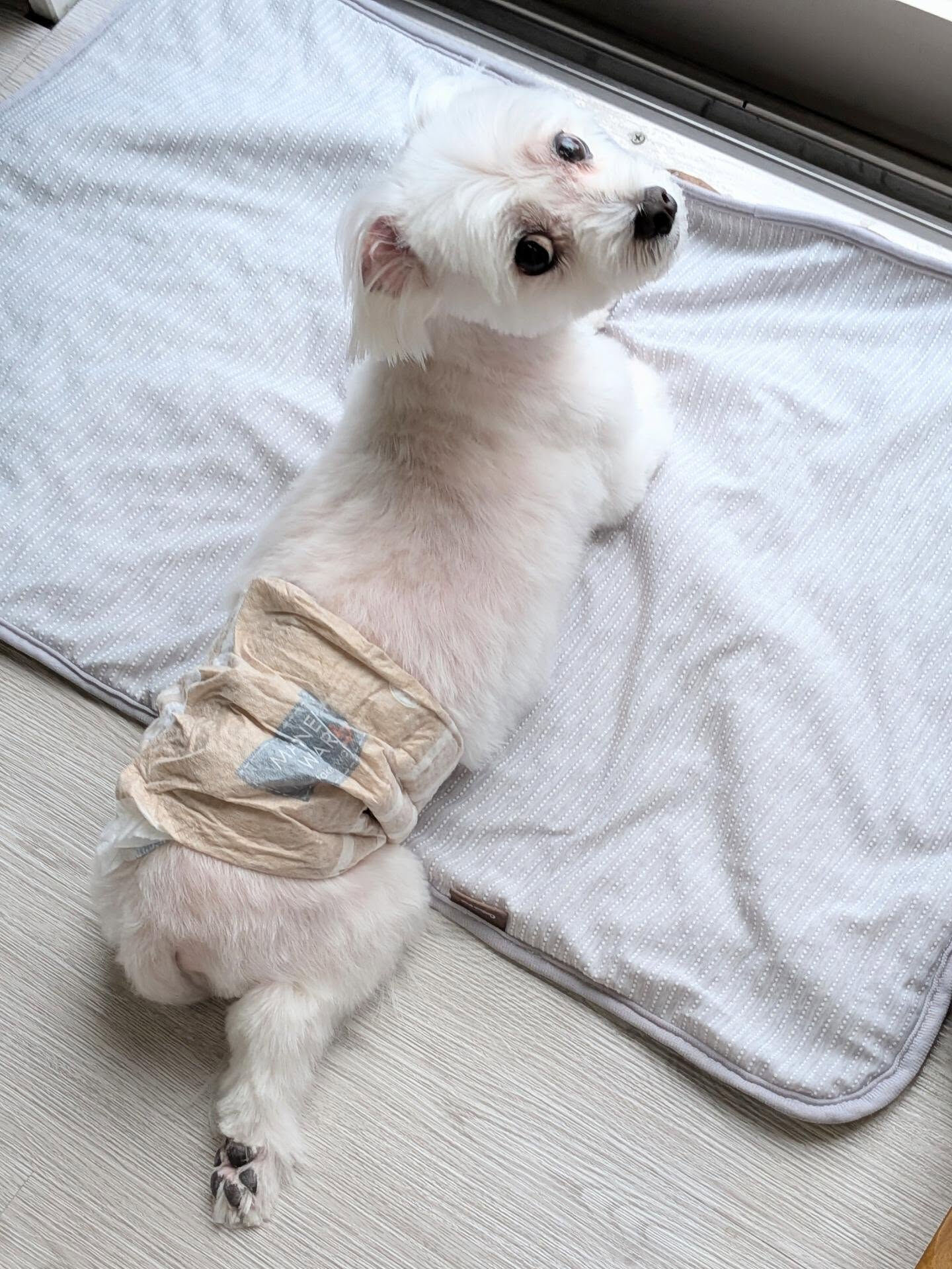 - ̗̀ ご来店ありがとうございます ̖́-