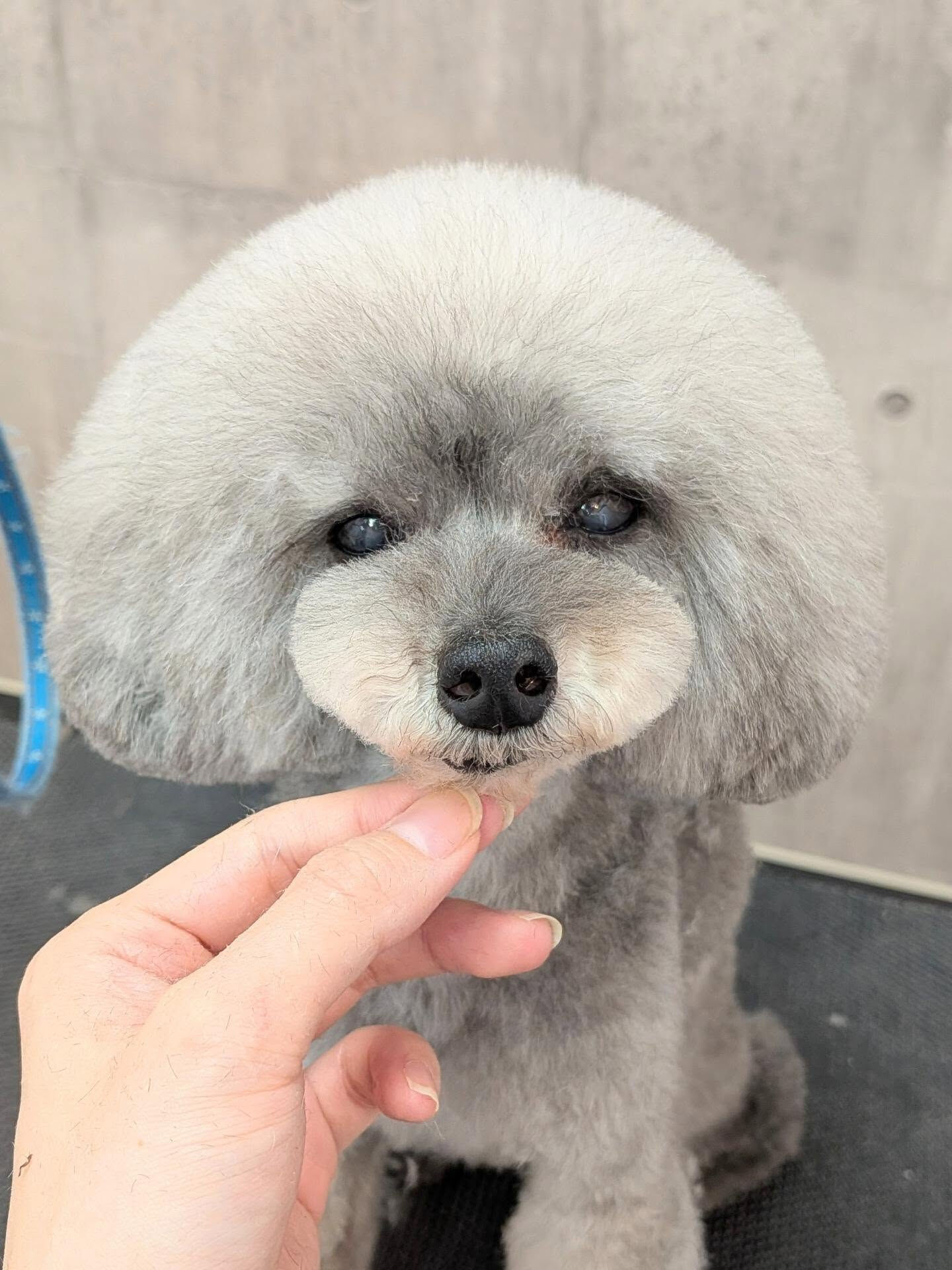 - ̗̀ ご来店ありがとうございます ̖́-