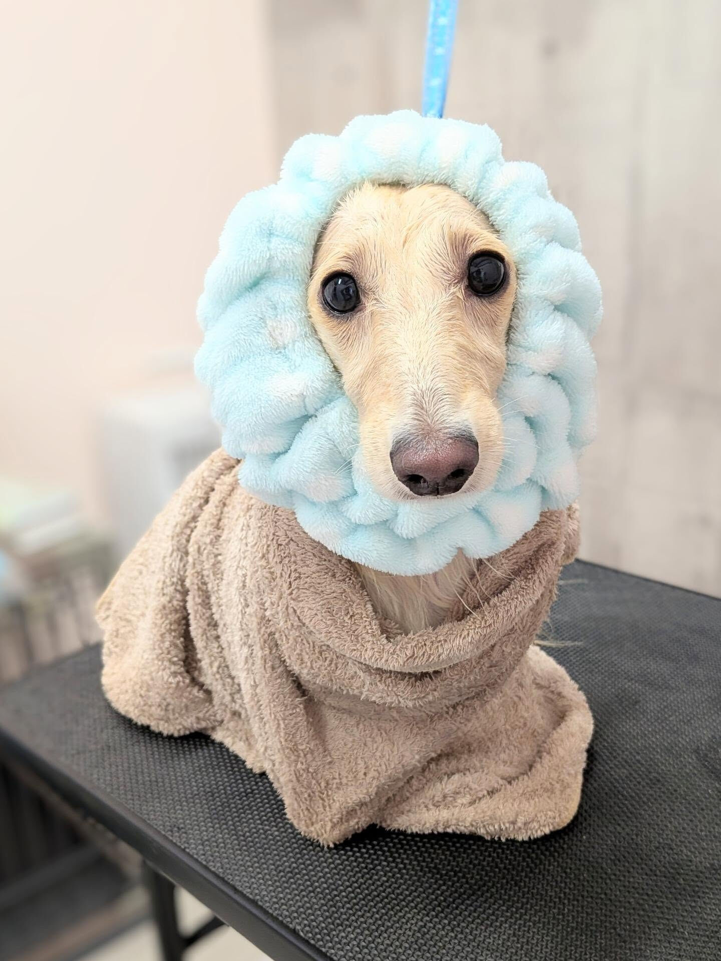 - ̗̀ ご来店ありがとうございます ̖́-