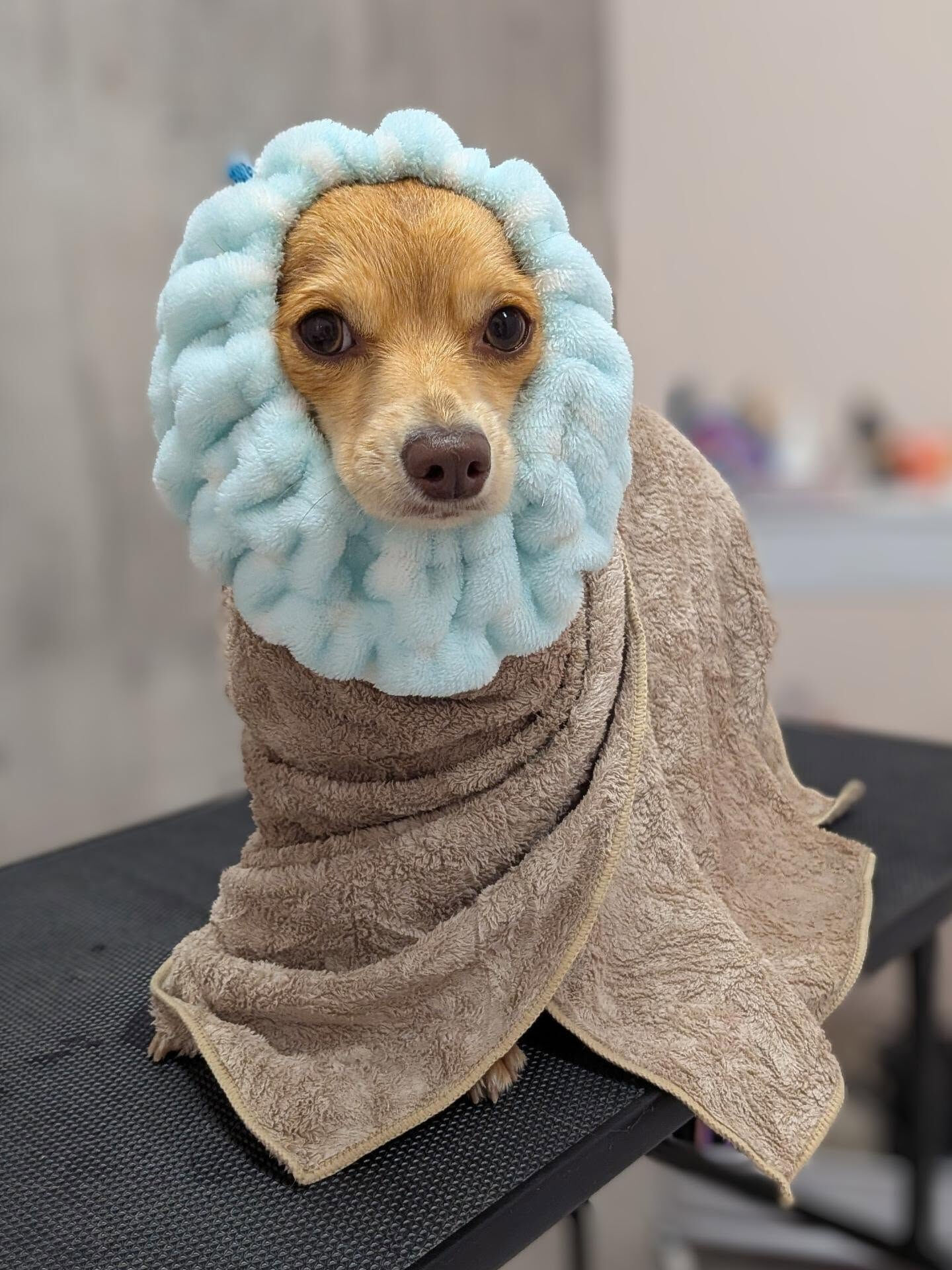 - ̗̀ ご来店ありがとうございます ̖́-