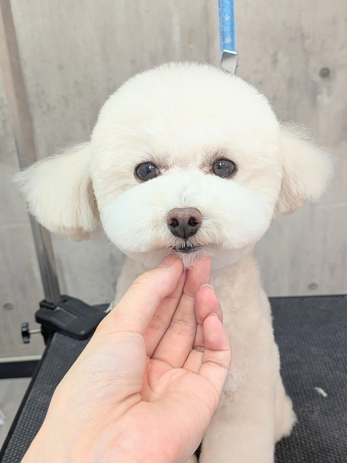 - ̗̀ ご来店ありがとうございます ̖́-