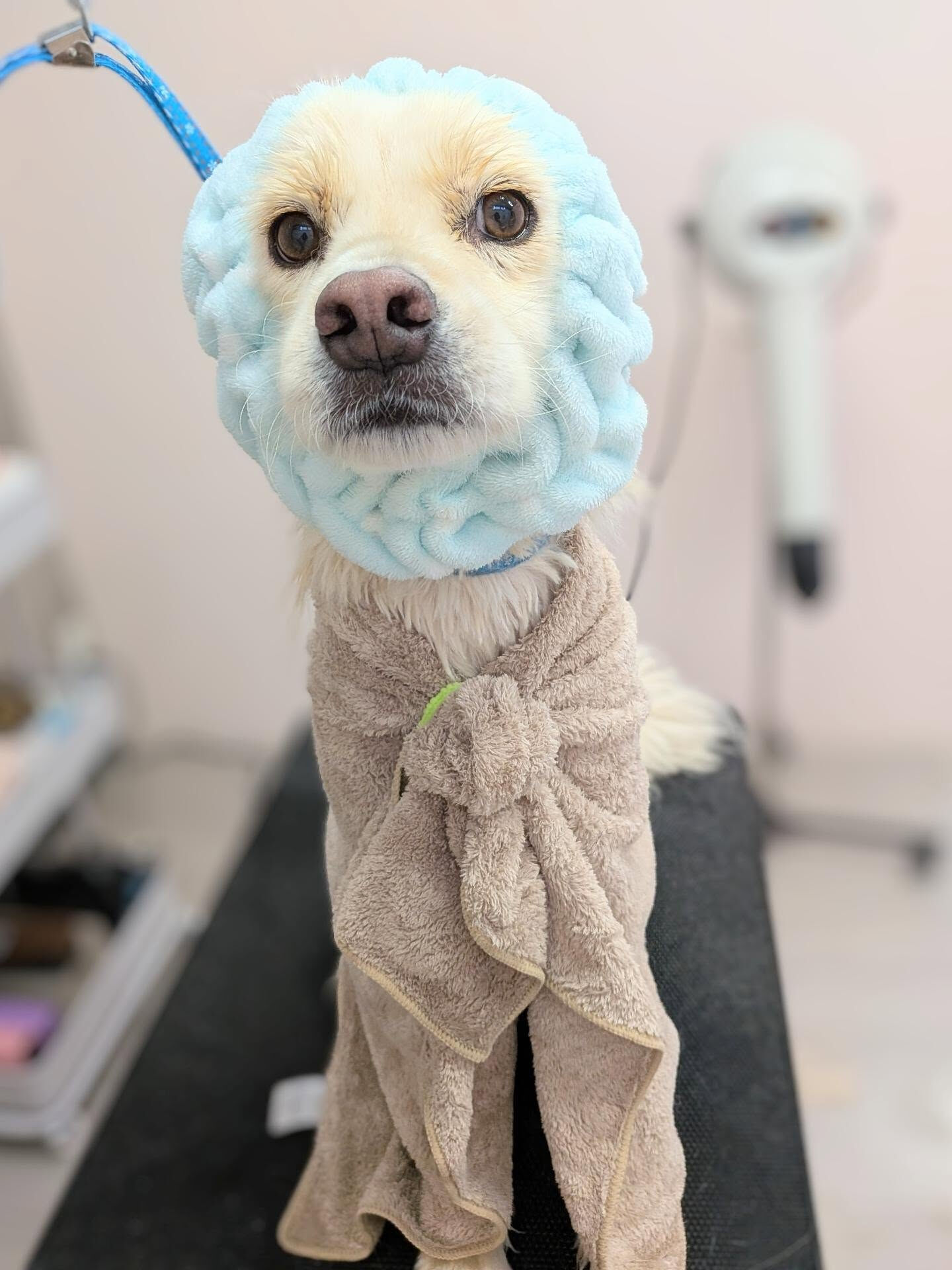 - ̗̀ ご来店ありがとうございます ̖́-