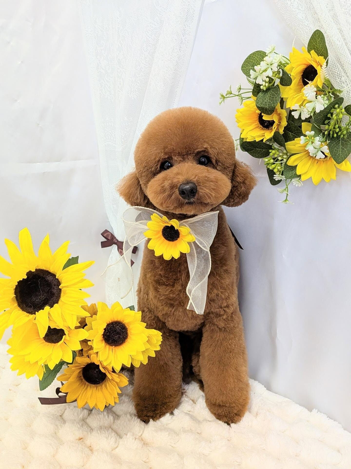 - ̗̀ ご来店ありがとうございます ̖́-