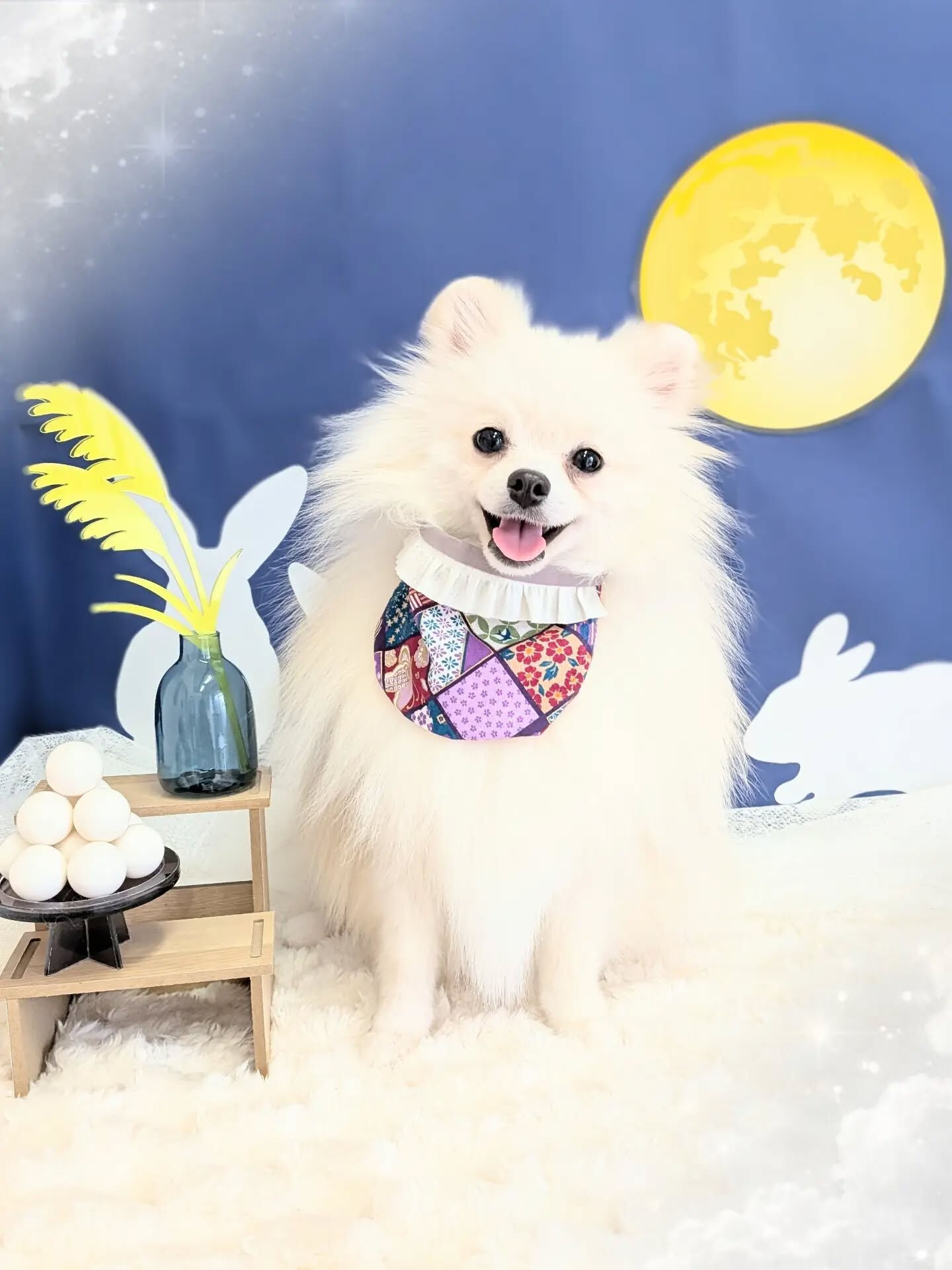 - ̗̀ ご来店ありがとうございます ̖́-