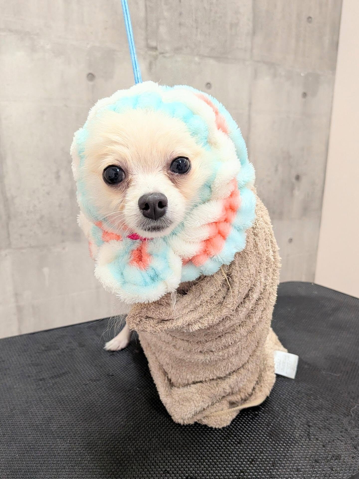 - ̗̀ ご来店ありがとうございます ̖́-