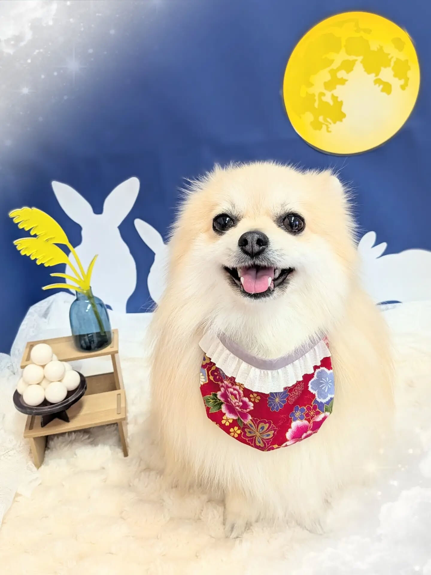 - ̗̀ ご来店ありがとうございます ̖́-