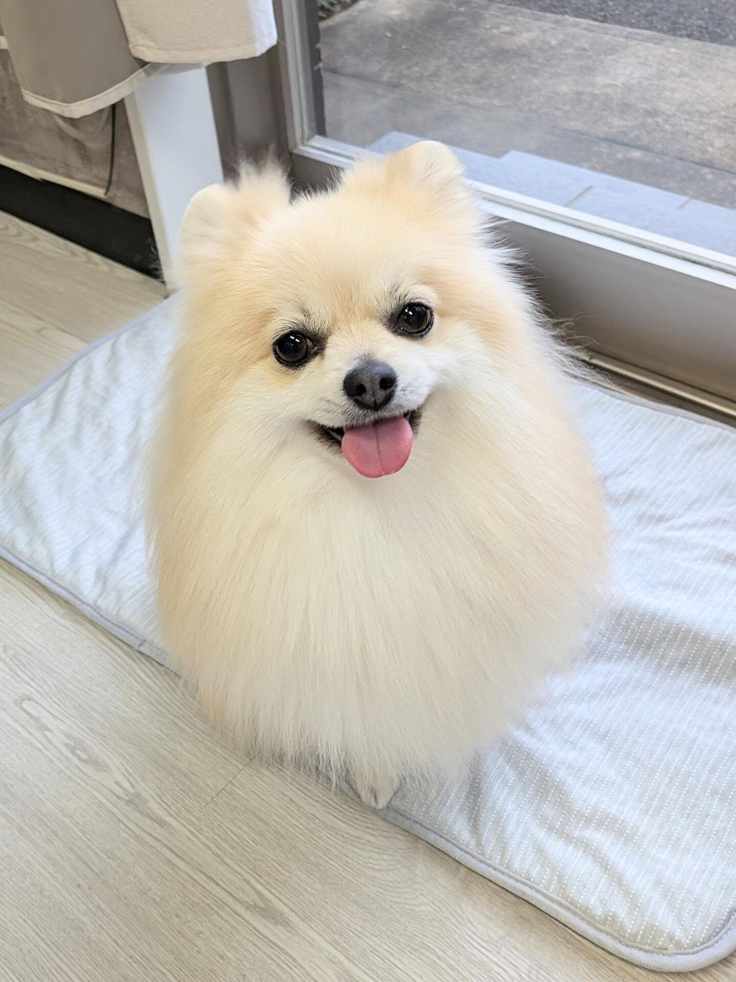 - ̗̀ ご来店ありがとうございます ̖́-