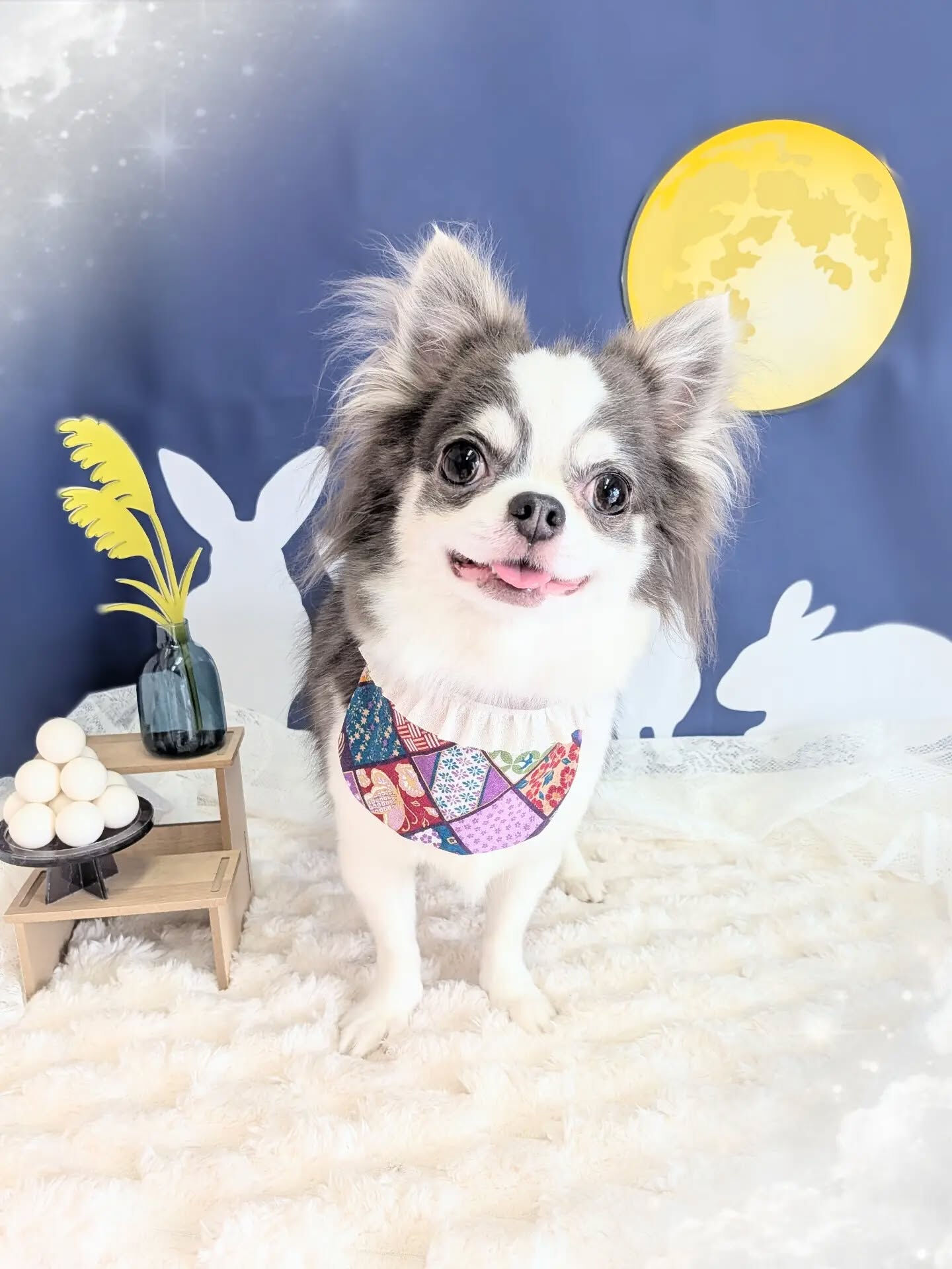 - ̗̀ ご来店ありがとうございます ̖́-
