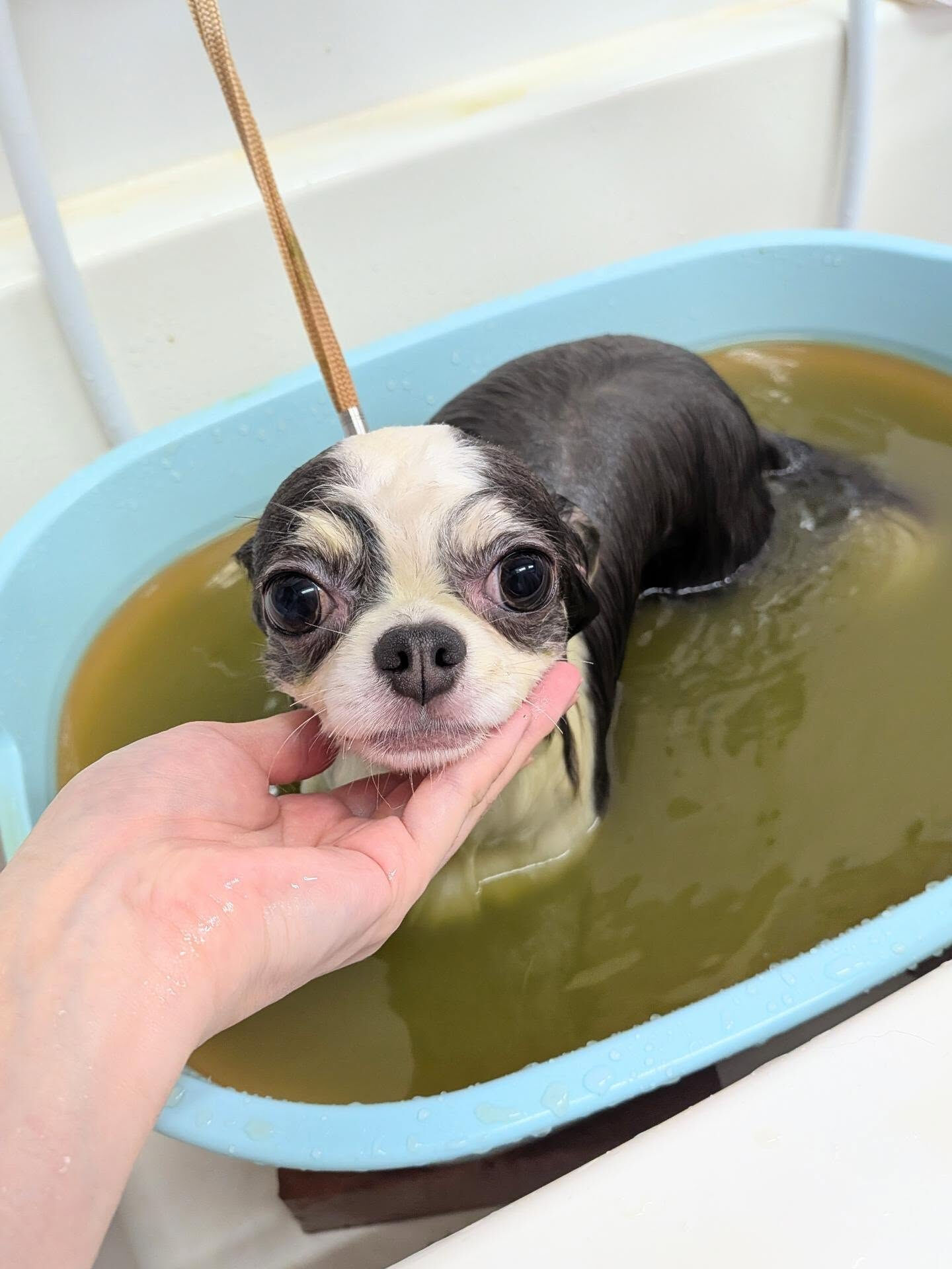 - ̗̀ ご来店ありがとうございます ̖́-