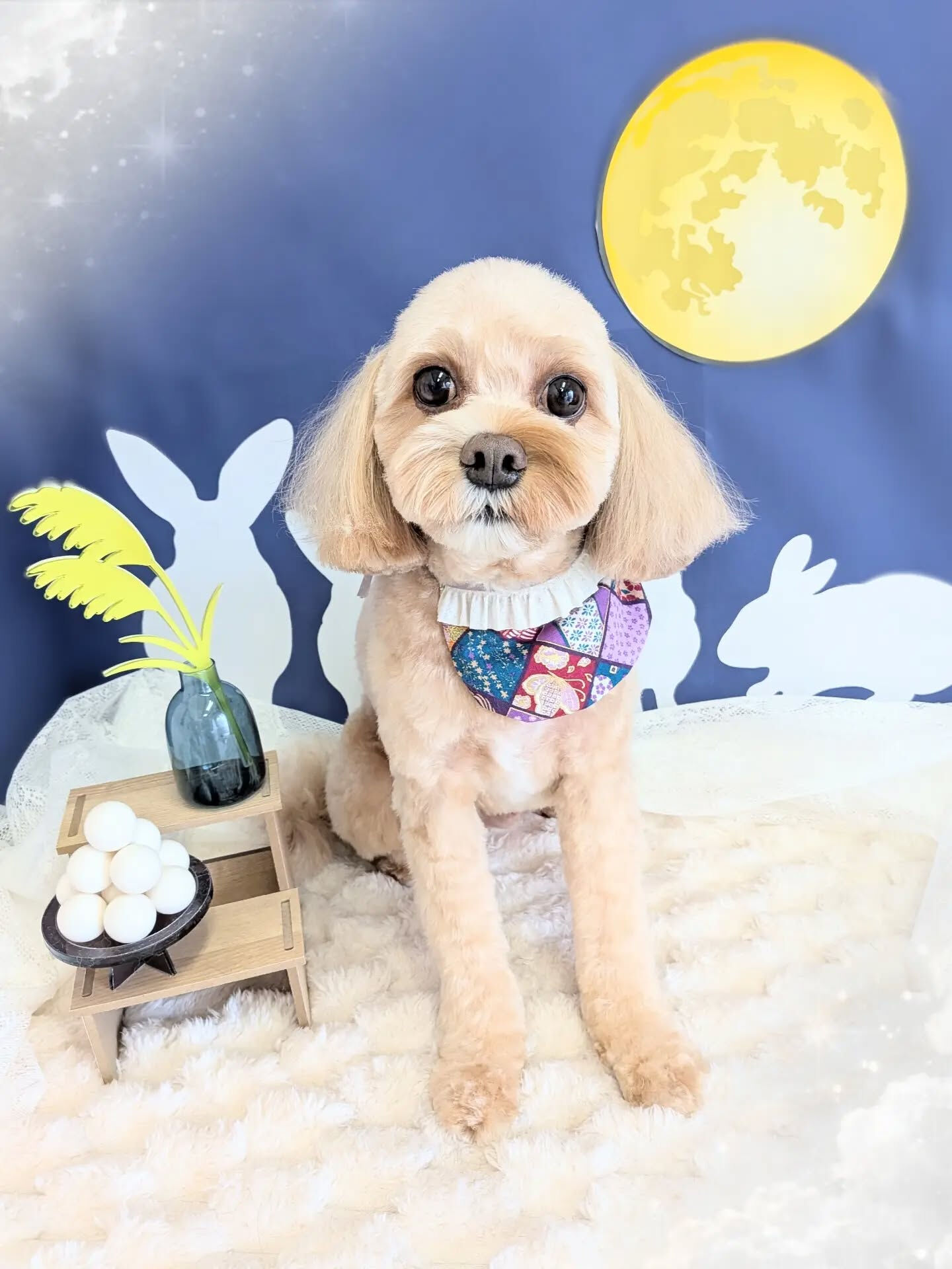 - ̗̀ ご来店ありがとうございます ̖́-