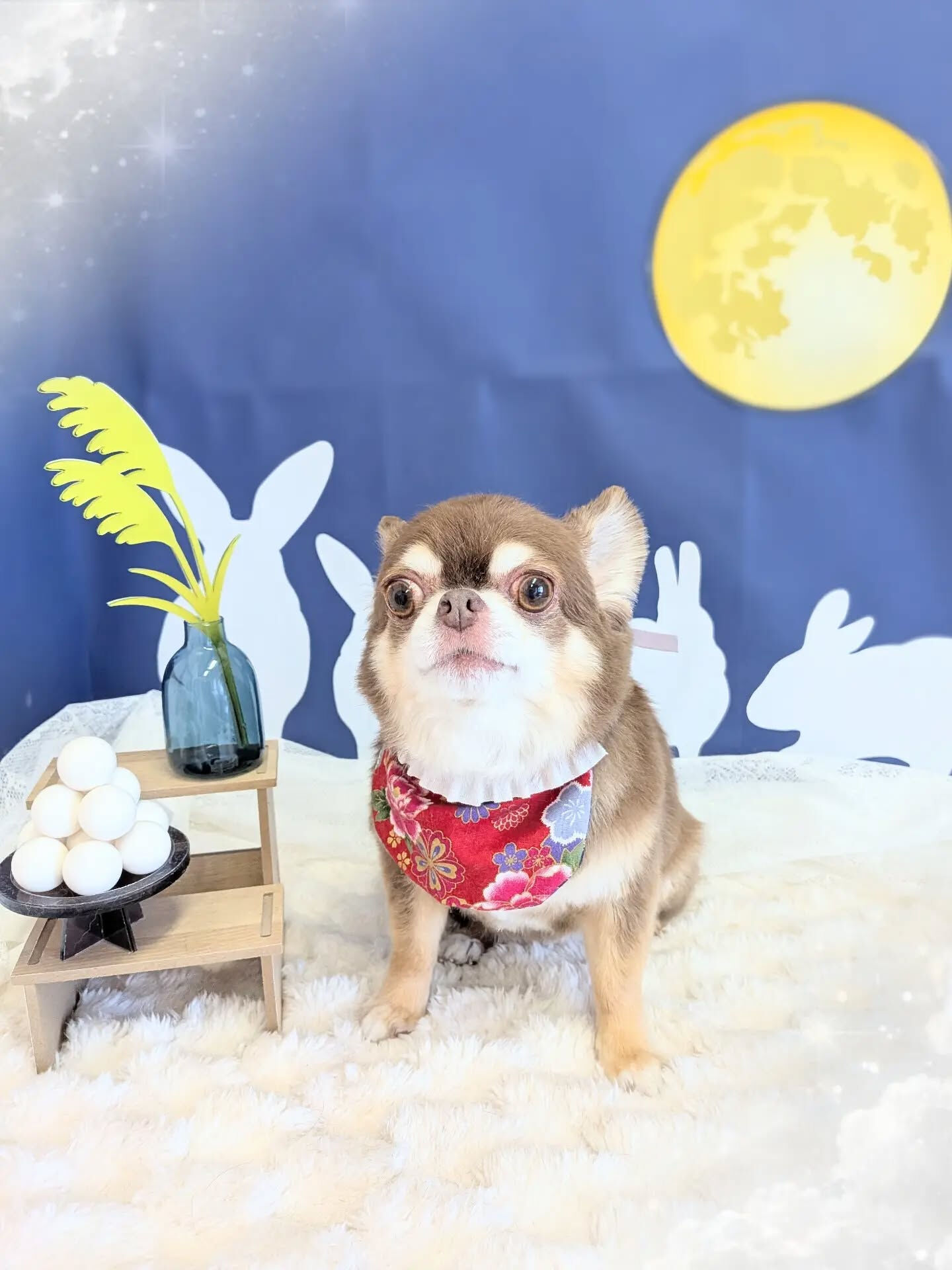 - ̗̀ ご来店ありがとうございます ̖́-