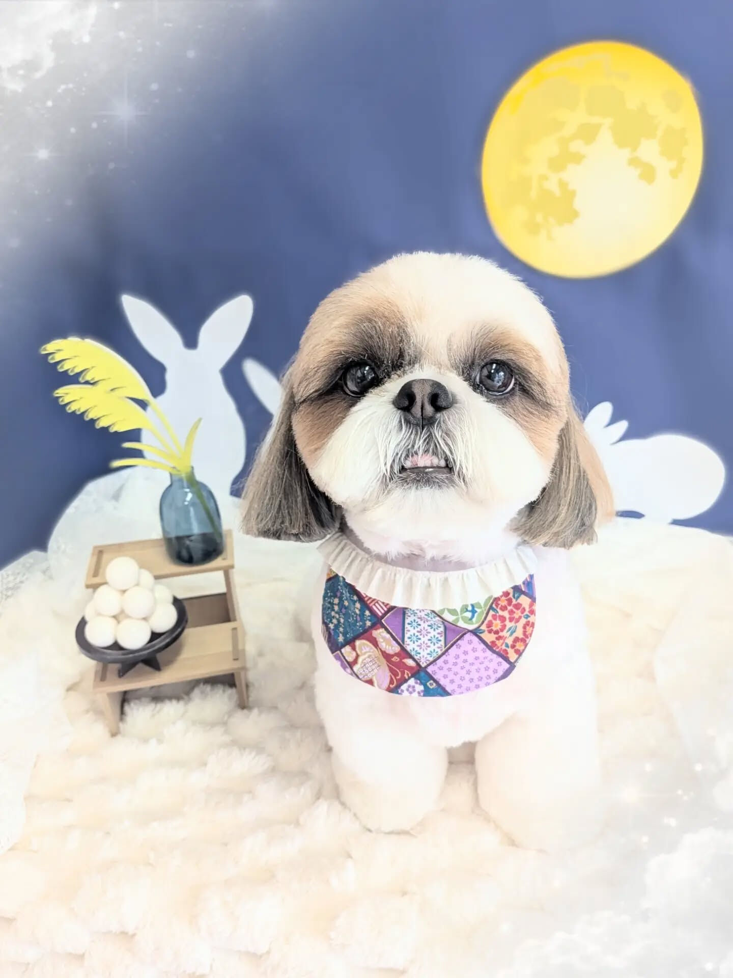 - ̗̀ ご来店ありがとうございます ̖́-