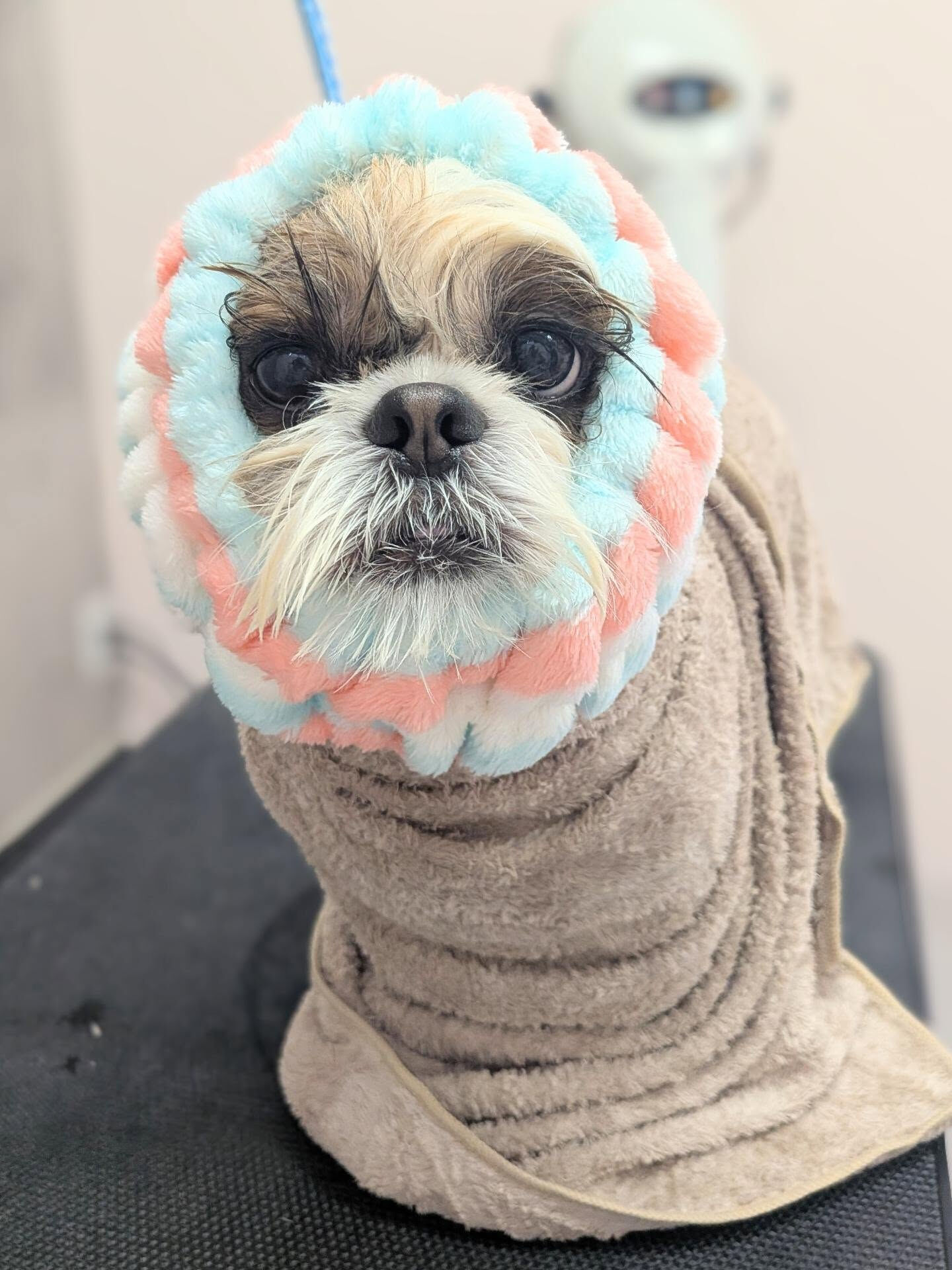 - ̗̀ ご来店ありがとうございます ̖́-