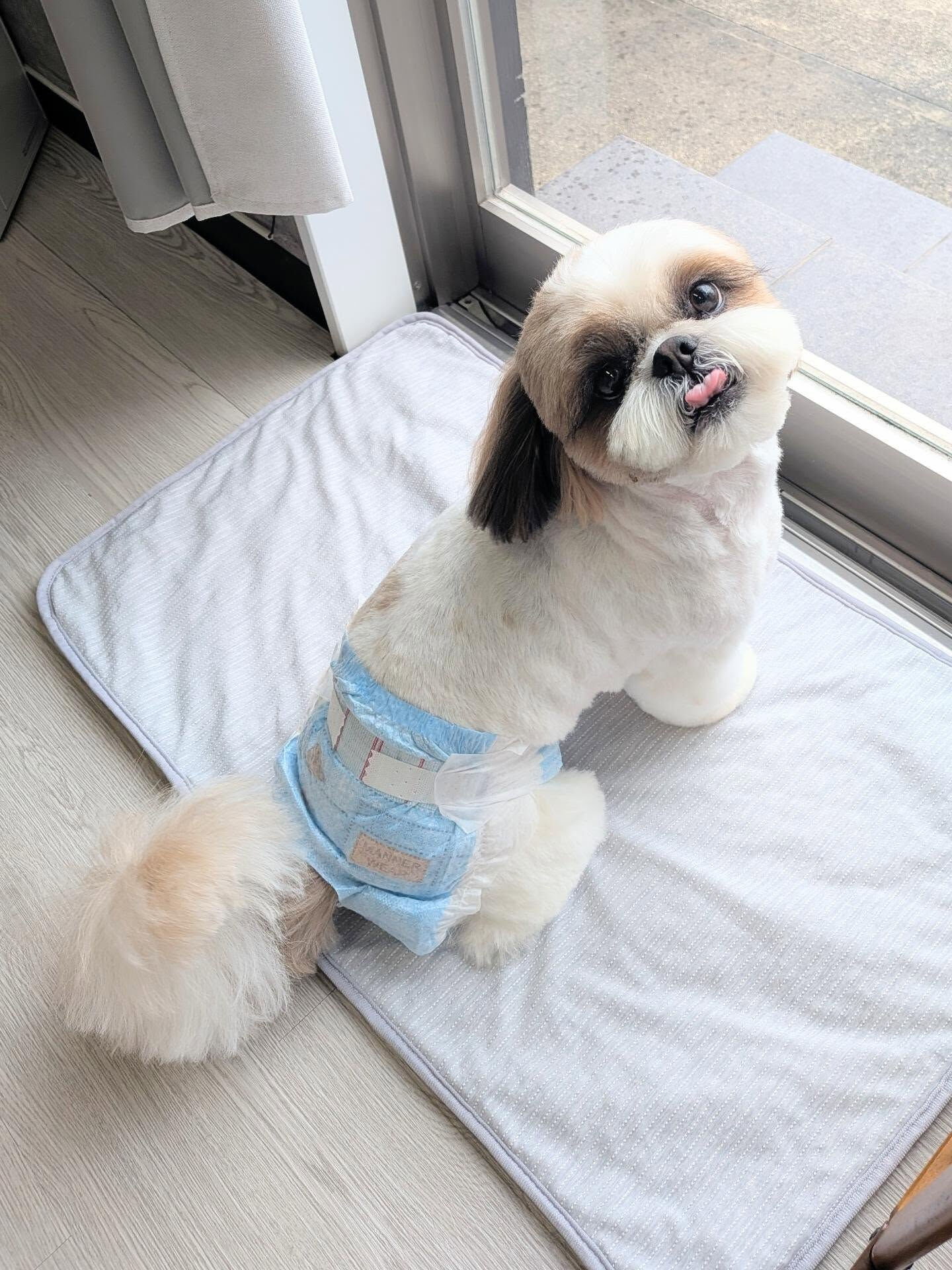 - ̗̀ ご来店ありがとうございます ̖́-