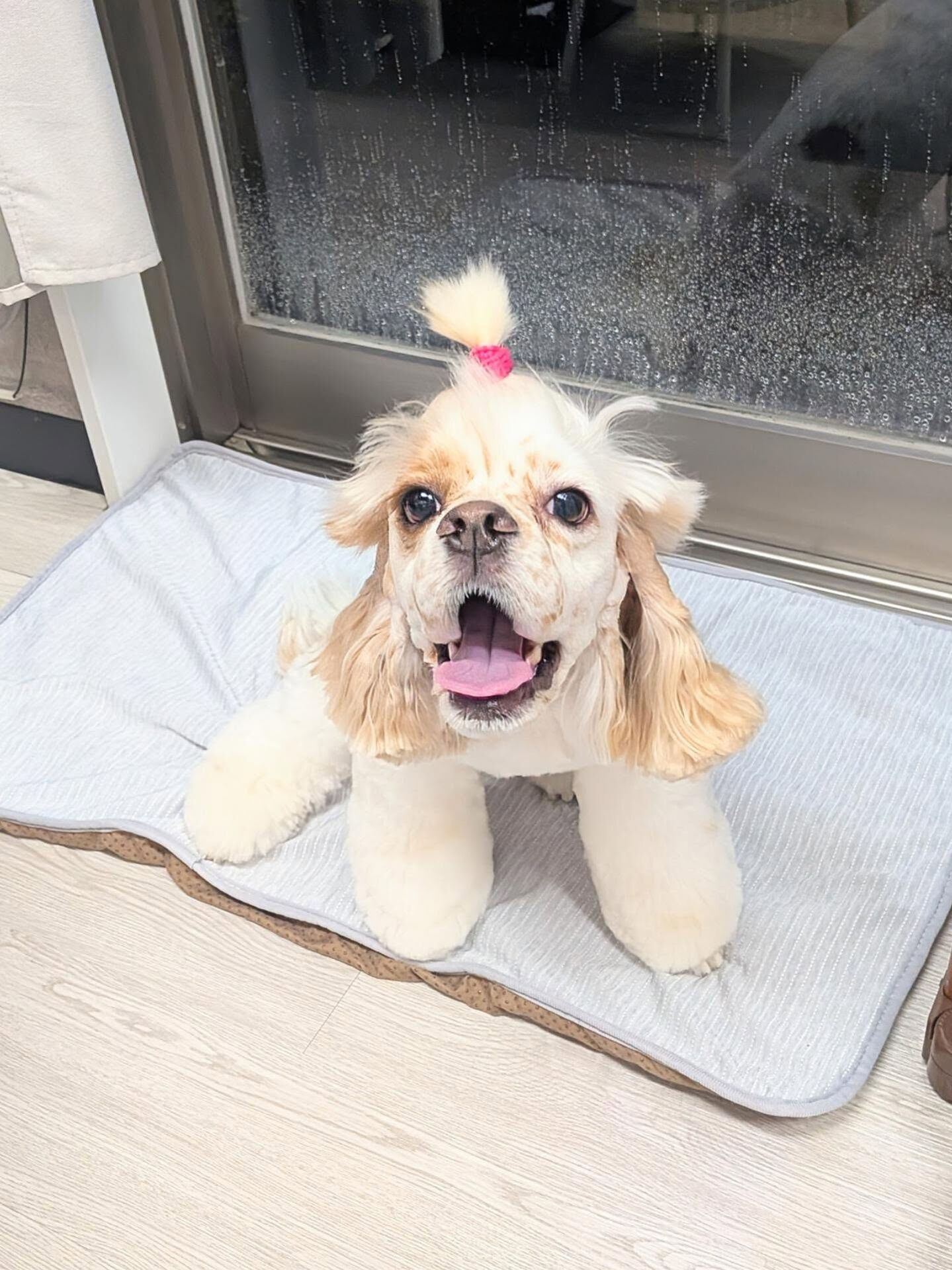 - ̗̀ ご来店ありがとうございます ̖́-