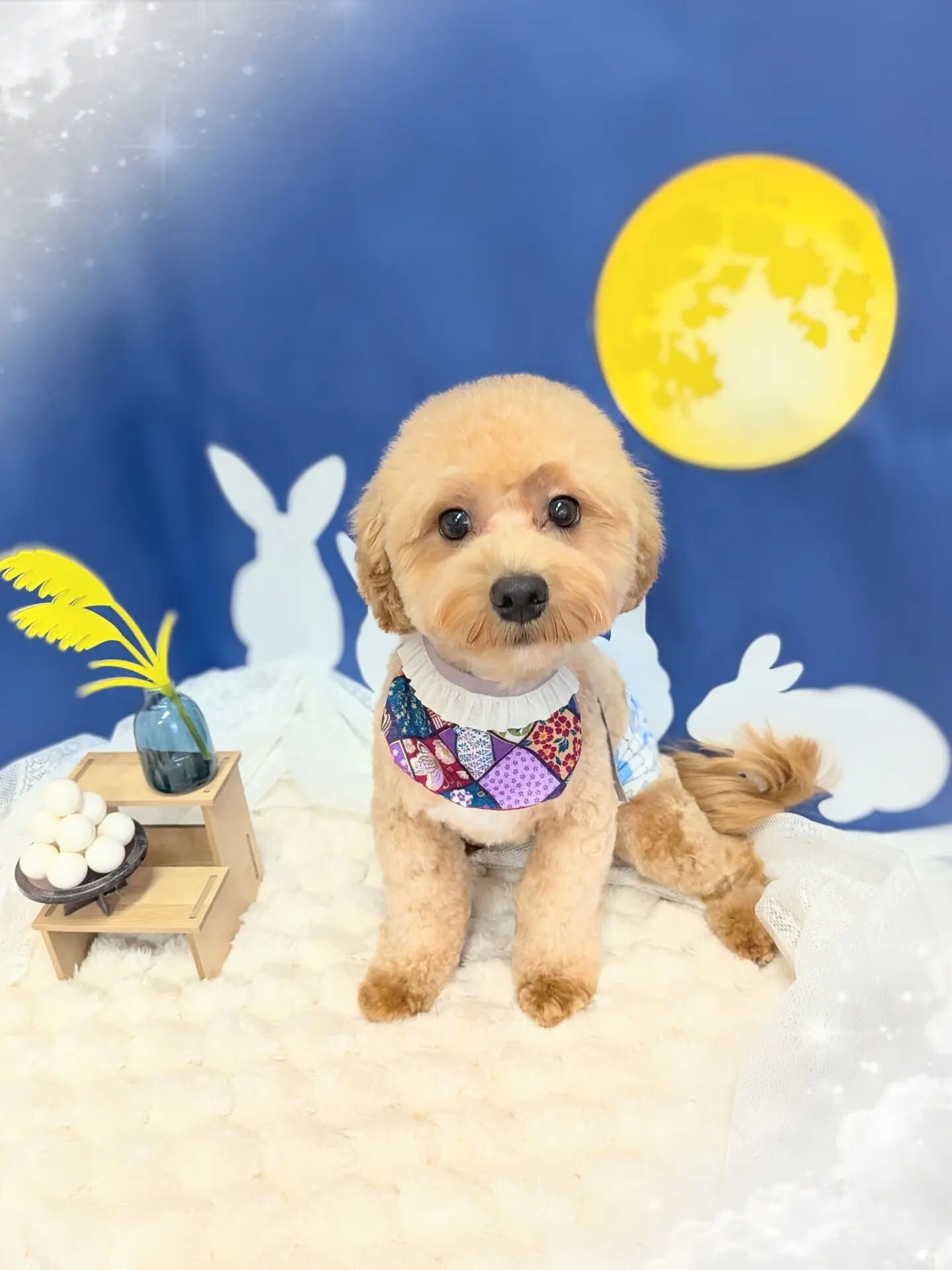 - ̗̀ ご来店ありがとうございます ̖́-