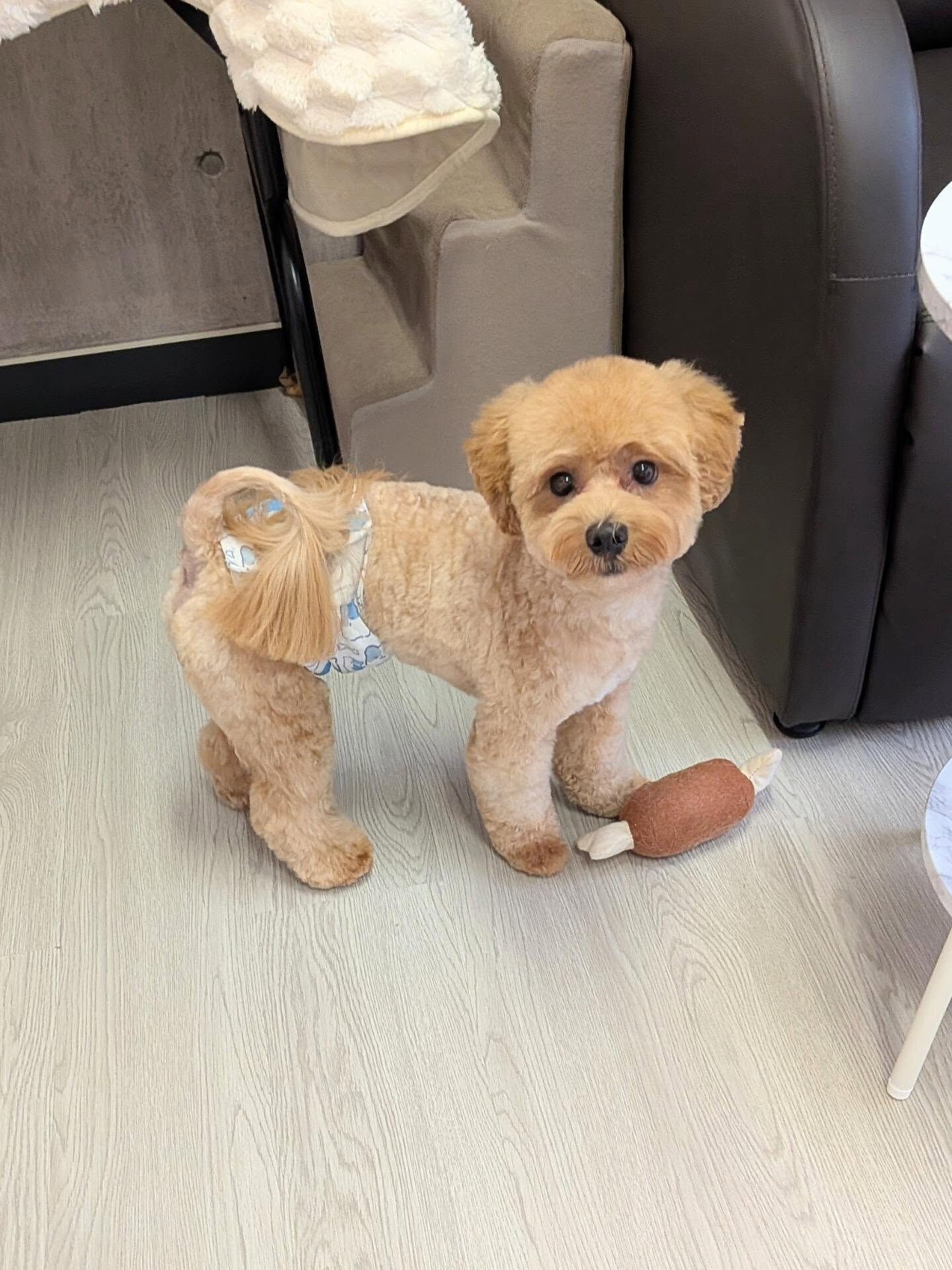 - ̗̀ ご来店ありがとうございます ̖́-