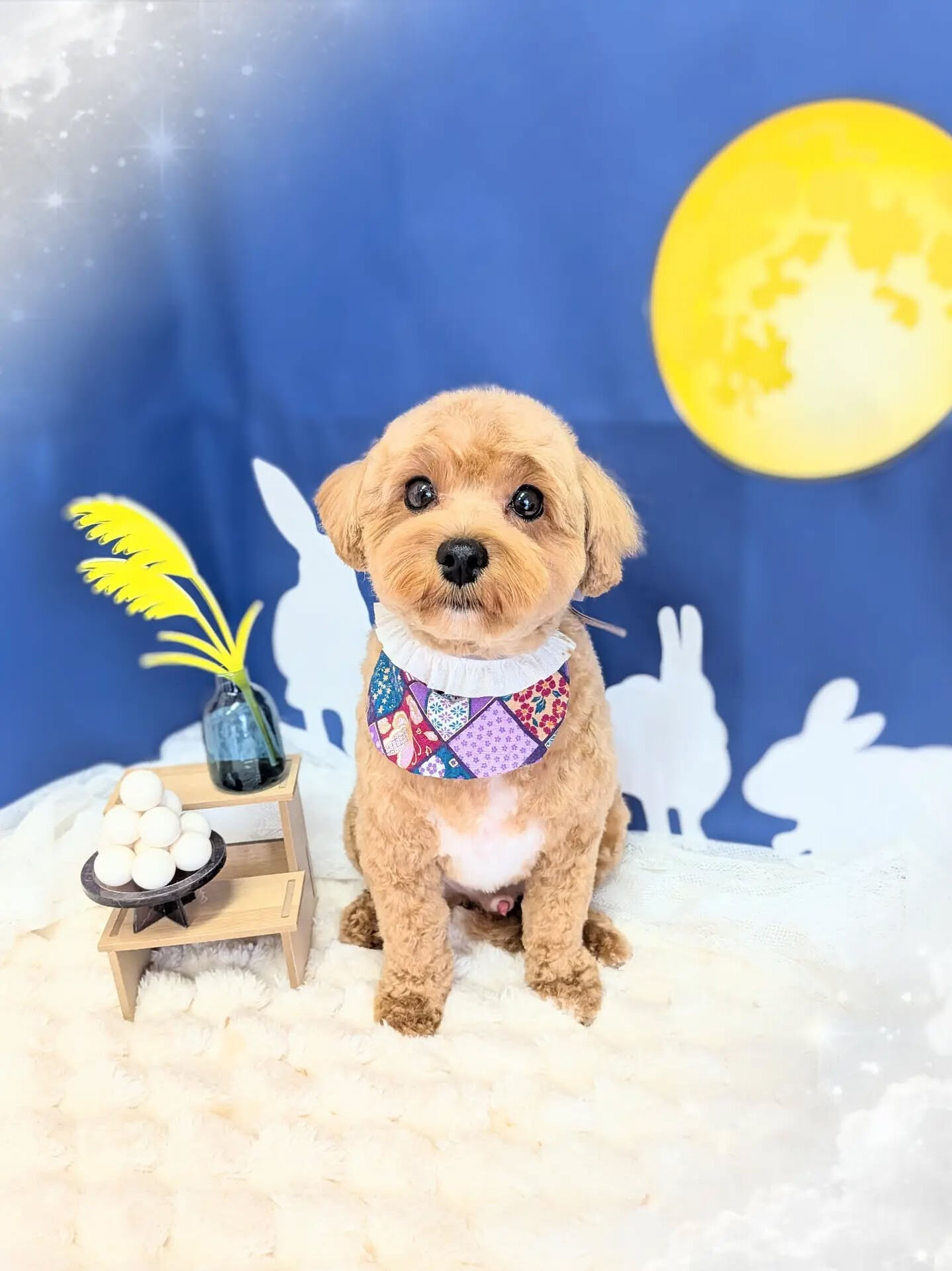- ̗̀ ご来店ありがとうございます ̖́-