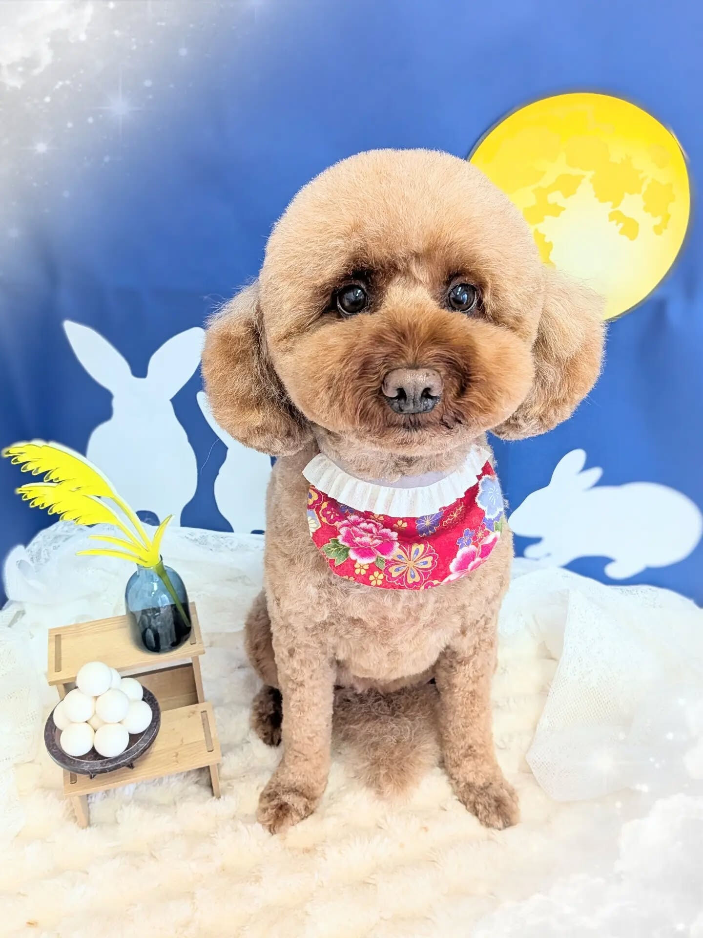 - ̗̀ ご来店ありがとうございます ̖́-